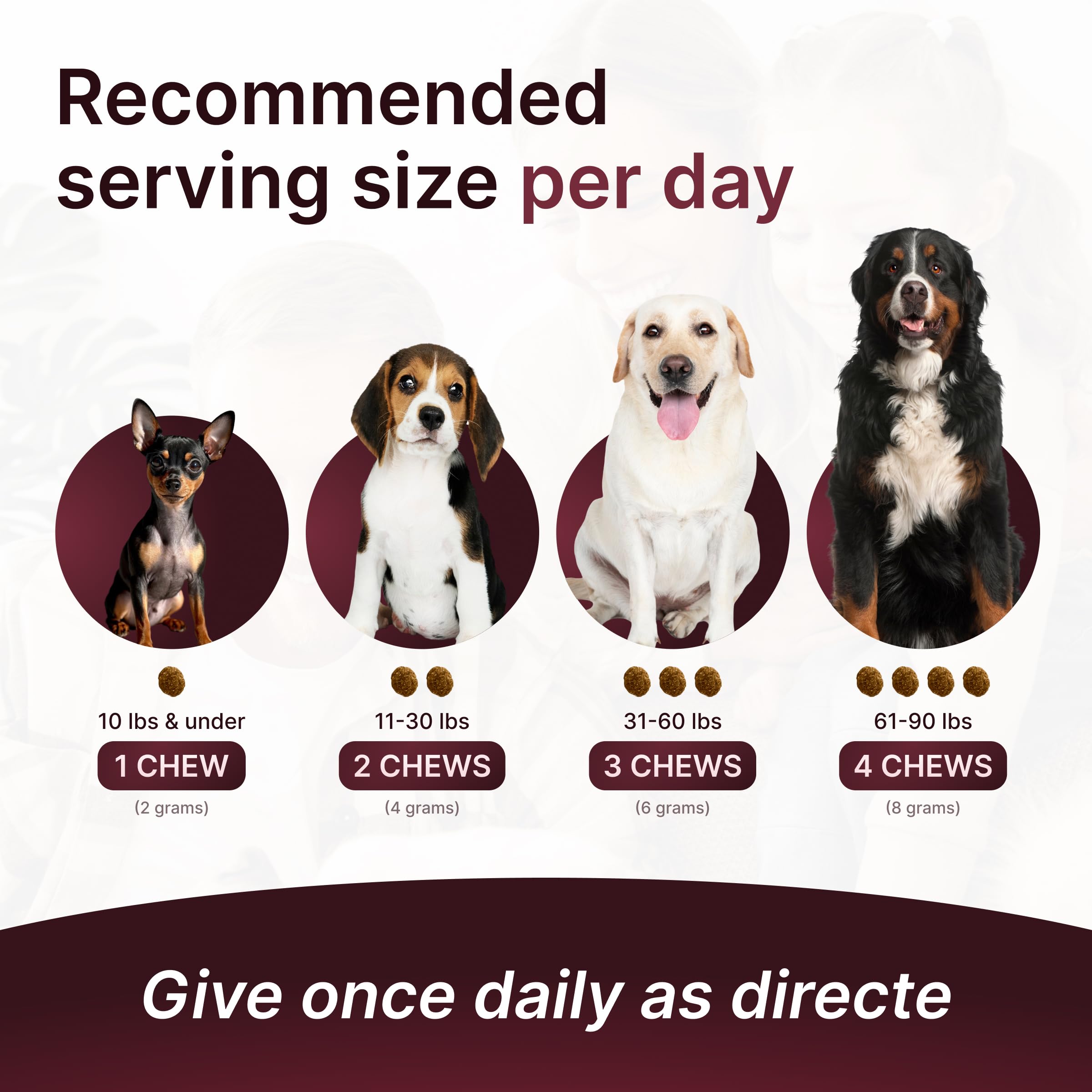 Hip & Joint Supplement for Dogs – Mobility Support with Glucosamine, Chondroitin, MSM, Turmeric, Mussel, Hemp Dog Joint Pain Relief – 120 Soft Chews for Large, Medium, Small Dogs Breeds– Beef Flavor - image 4