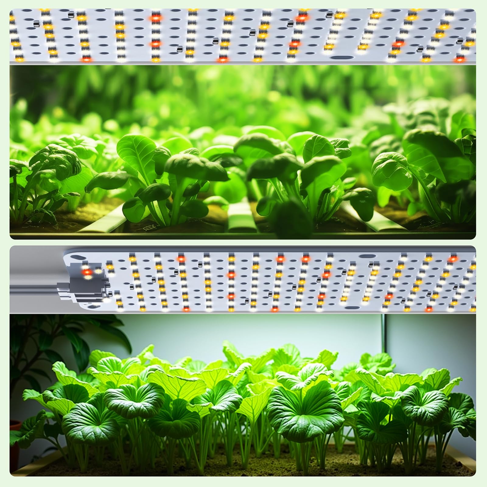 5PCS Lampes de Croissance à Spectre Complet pour Plantes d’Intérieur, Panneaux LED 60W avec Daisy-Chain, Minuterie Automatique 4/8/12H, 960 LEDs, Lumière Type Soleil pour la Culture en Intérieur
