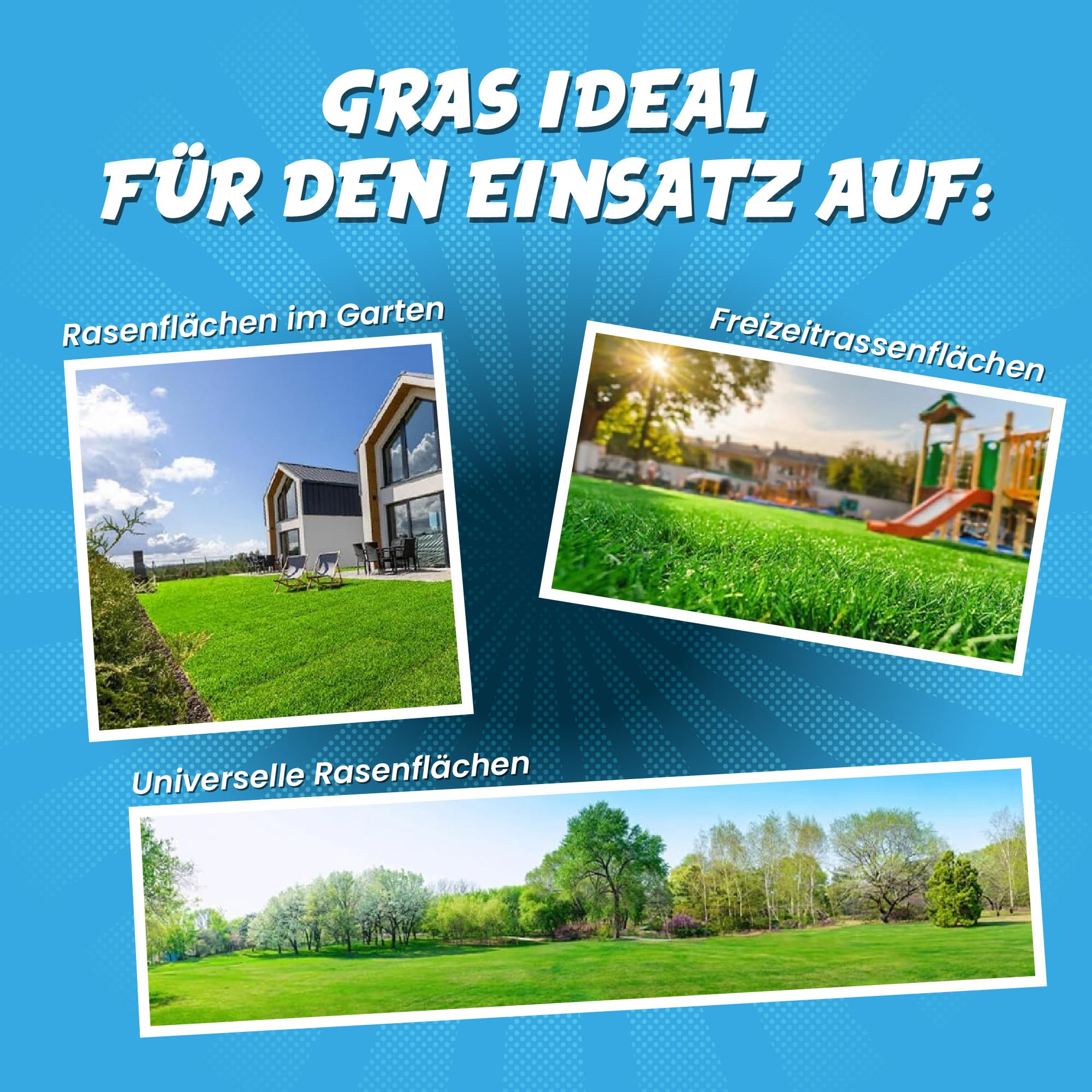 Graines de gazon de qualité supérieure à germination rapide - 5 kg - Graines d'herbe pour 200 m² de gazon - Graines de gazon idéales pour les nouveaux semis et les semis - Graines d'herbe fabriquées