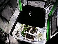 Review Image by Chris Hunter Chris Hunter