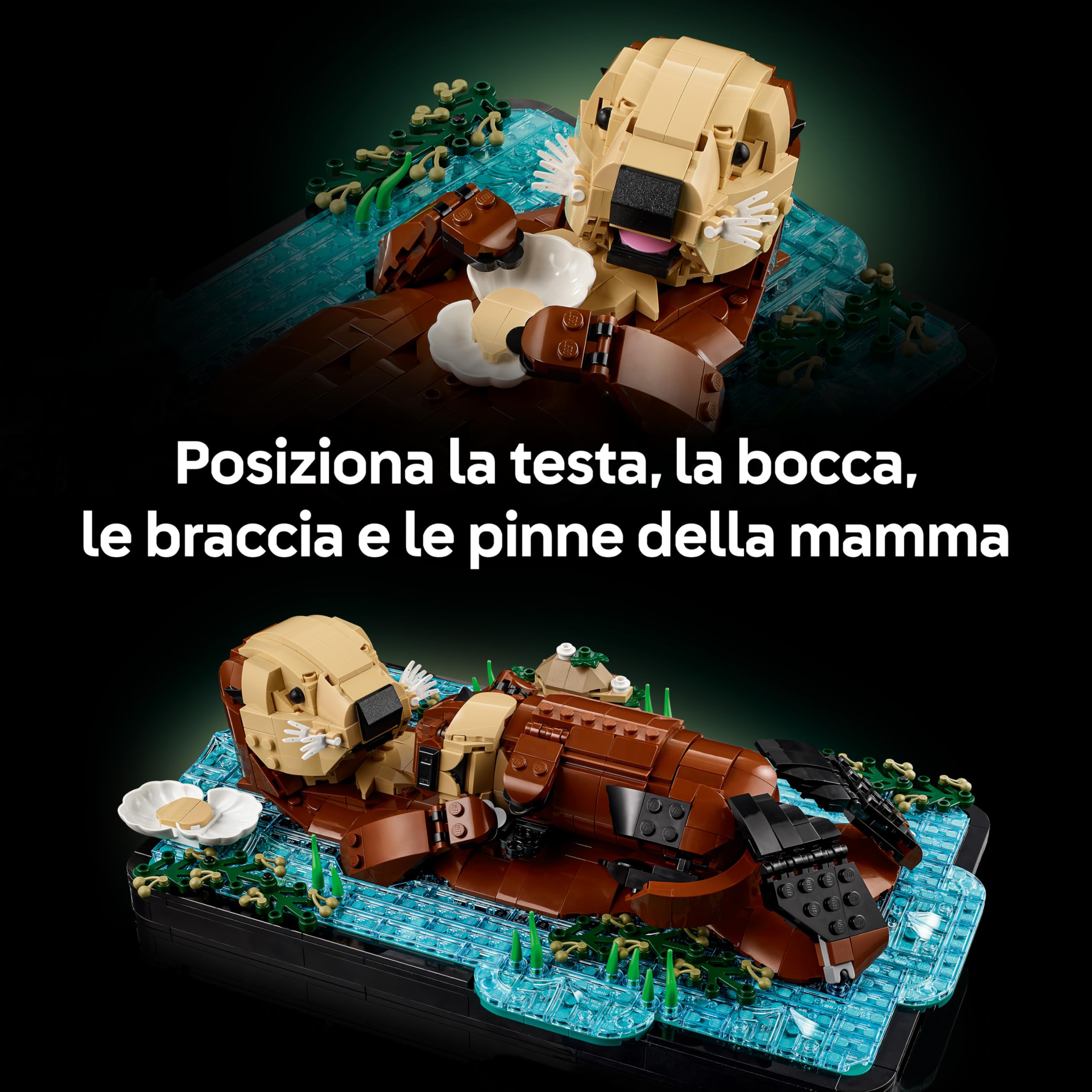 LEGO Ideas Lontre Marine - Kit di Modellismo per Adulti - Modello 3D da Esposizione con Figure di Animali Lontra e Cucciolo - Decorazione per Camera da Letto Fai da Te - Idea Regalo Artigianale 21366