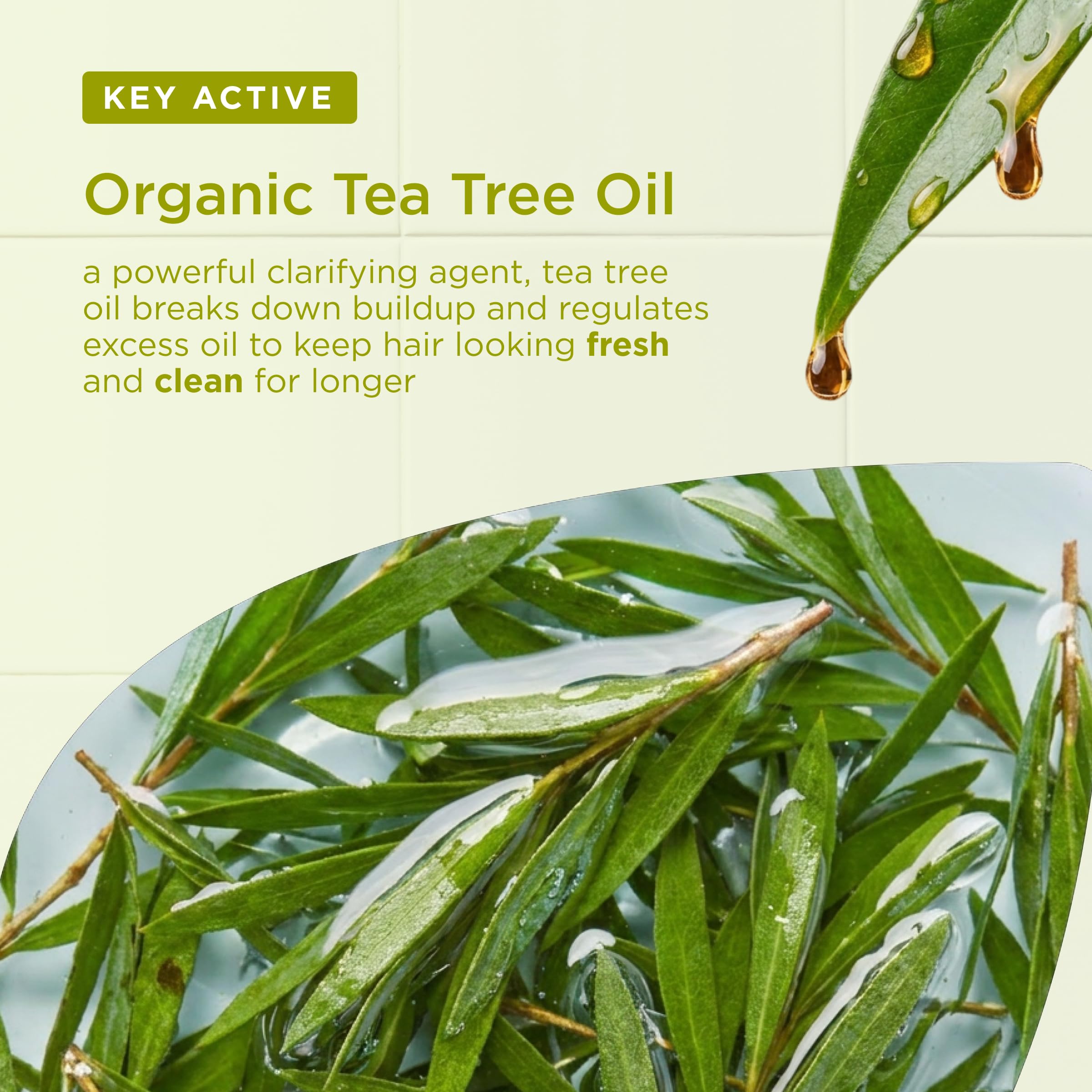 Dr.Organic Tea Tree Szampon, Biały, 265 ml