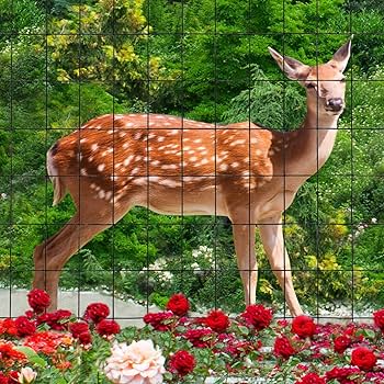 フラッドファームの境界 4枚 ボーダーレス フラッドファームの境界 4枚 ボーダーレス en_d471922f39.jpg