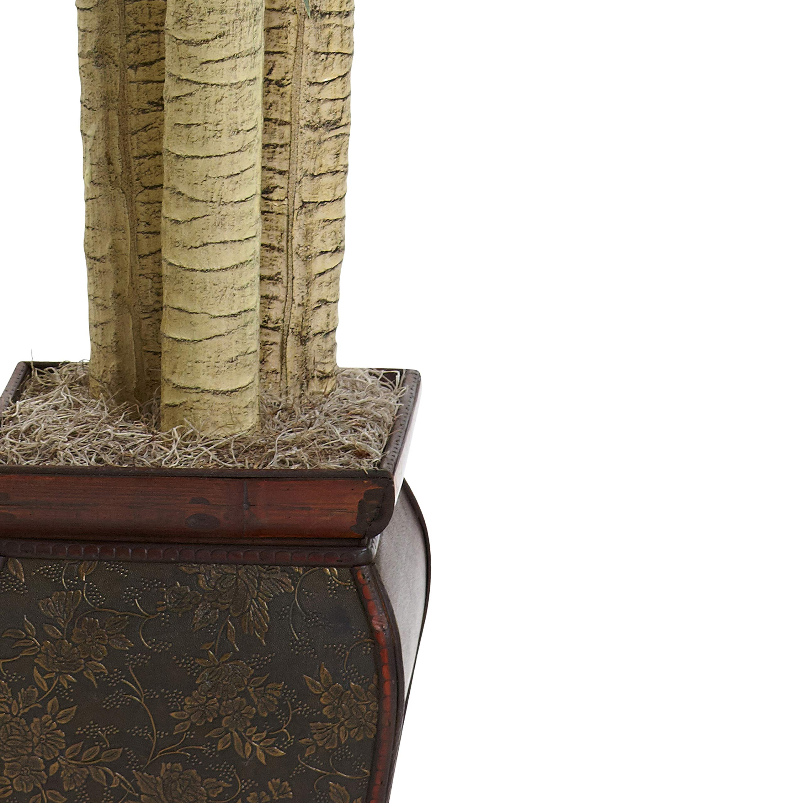 Amazon.co.jp: ほぼ自然6670 Cornstalk Draceana with花瓶、4.5