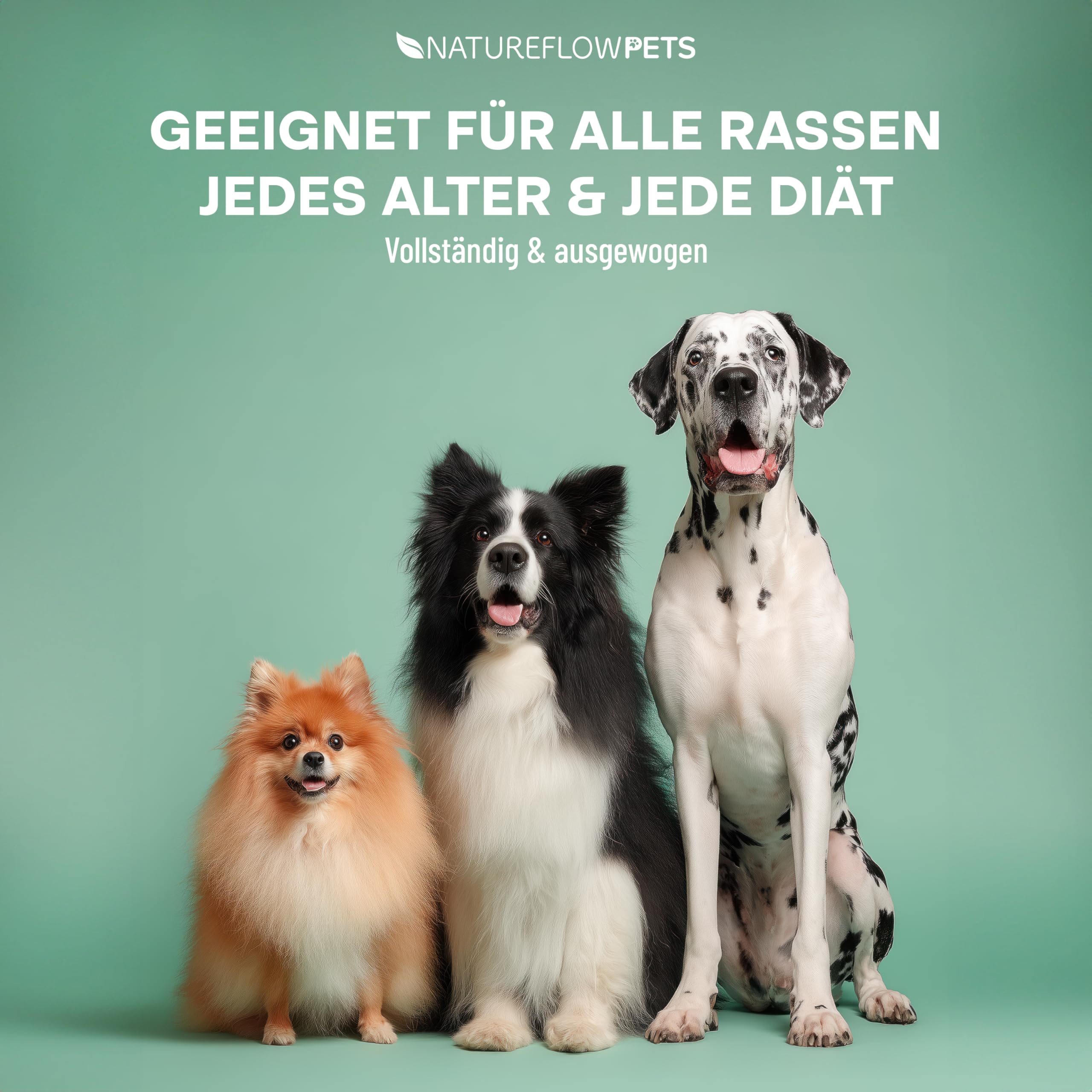 Omega Pro Gelenköl für Hunde 500ml – Lachsöl Mix mit Leinöl, Hanföl & Borretschöl – Omega 3 & 6 Fischöl für Gelenkstoffwechsel bei Arthrose – für Haut & Fell – Made in Germany