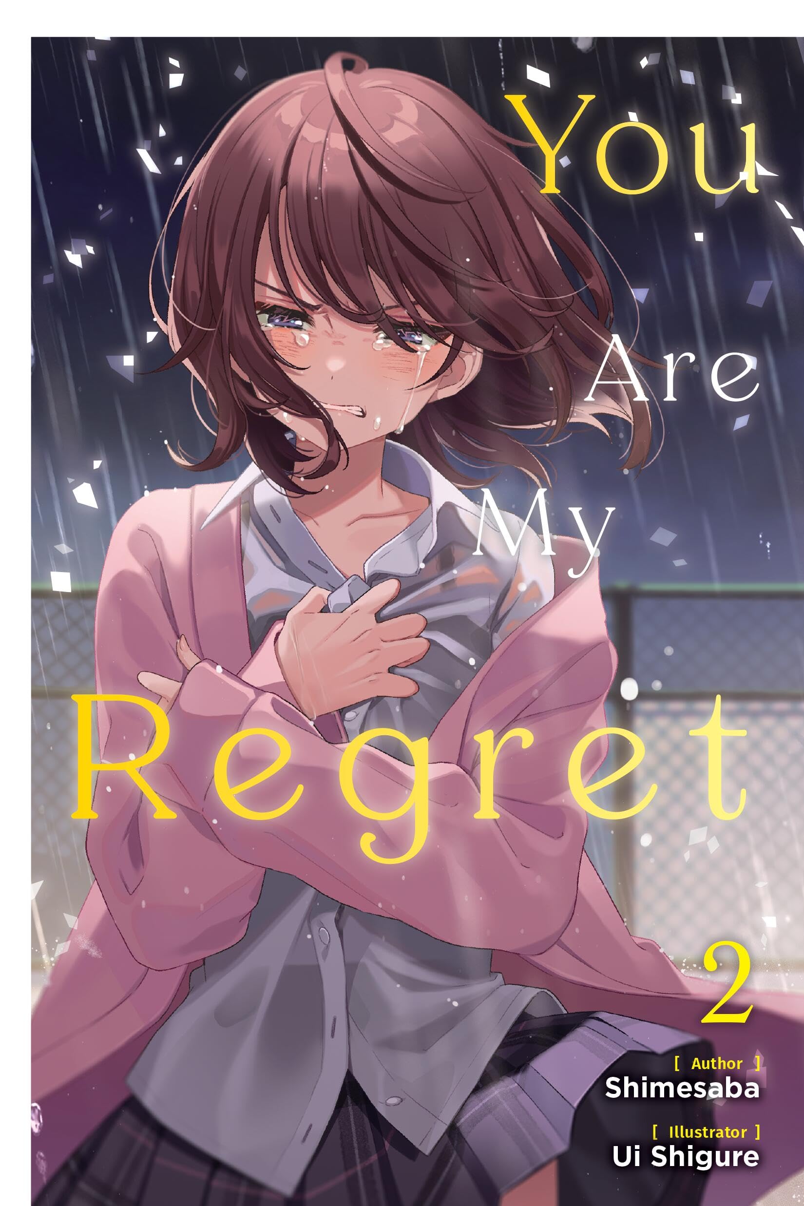 You Are My Regret, Vol. 2: Volume 2 (YOU ARE MY REGRET PROSE NOVEL SC)