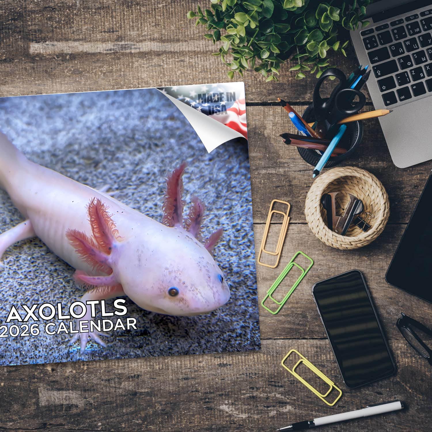 Axolotls Calendario 2024 e 2025, calendario mensile da parete, 30,5 x 45,7 cm, aperto, carta spessa senza sbavature, idea regalo, calendario per insegnanti accademici, organizzazione e pianificazione