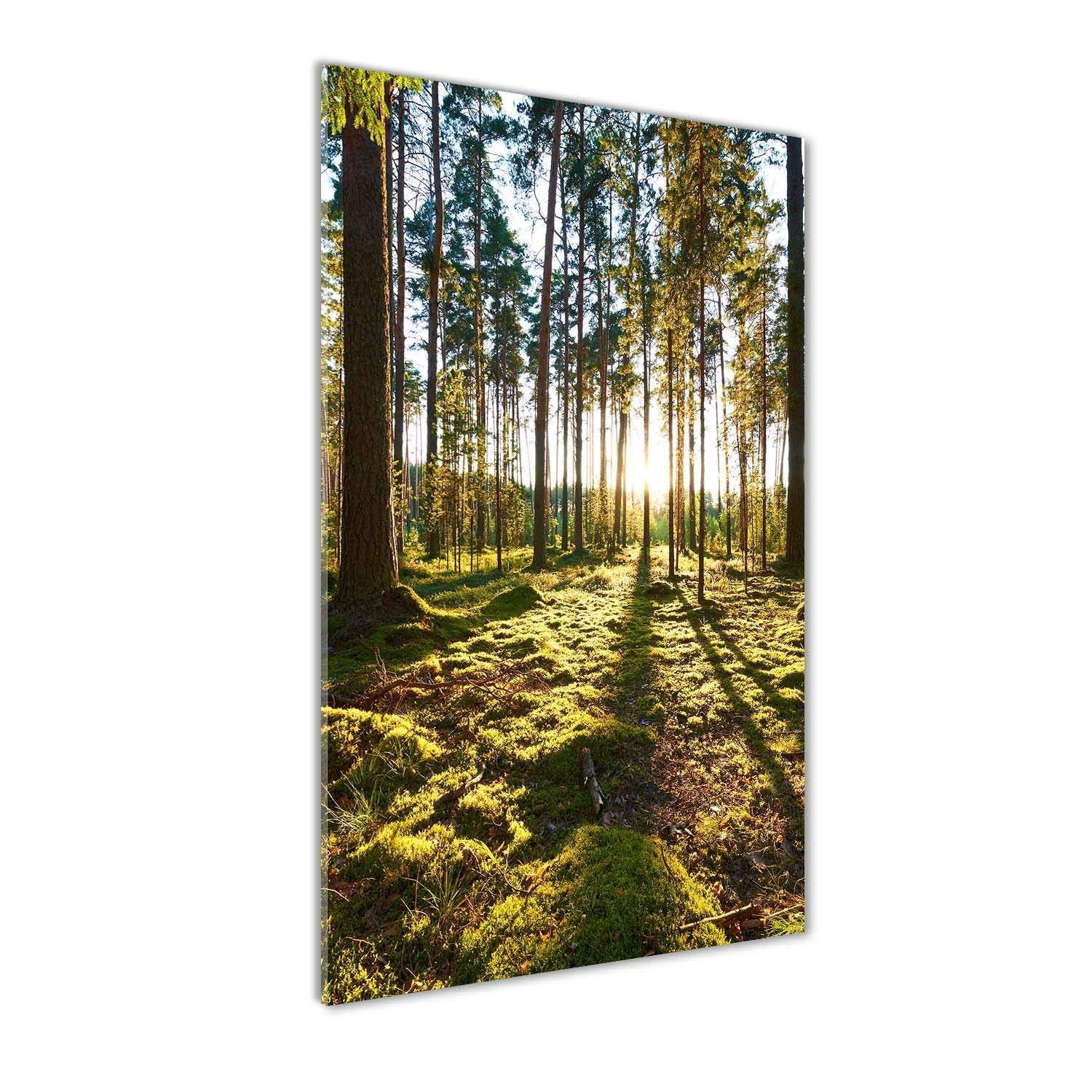 Mural art pour masquer un mur vide avec un grand tableau acrylique paysage de forêt