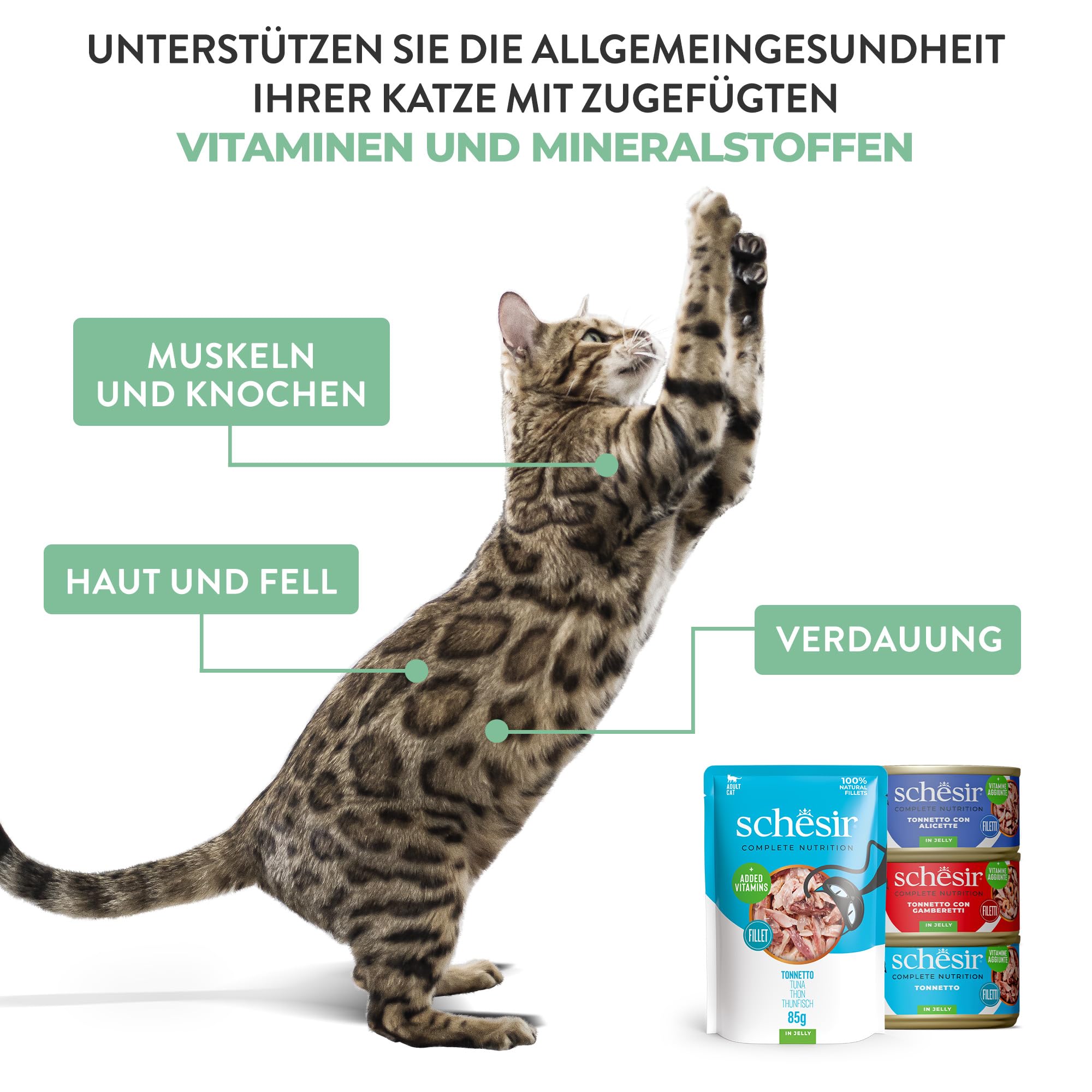 Schesir, Thunfisch mit Schinken in Gelee, Vollwertiges Nassfutter für Katzen, Mit Zugesetzten Vitaminen, 100% Natürlich, Cruelty-Free, 6 x 50 g