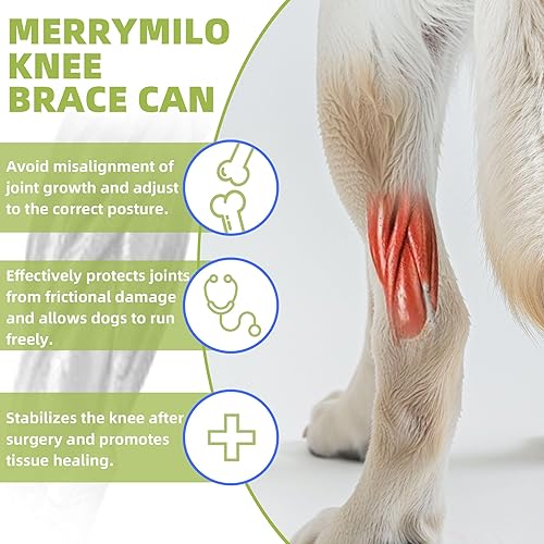 Miniatura 2 de Soporte de cadera para perro, rodilla y pierna para recuperación del ligamento cruzado anterior, lesiones de ligamentos, soporte transpirable y