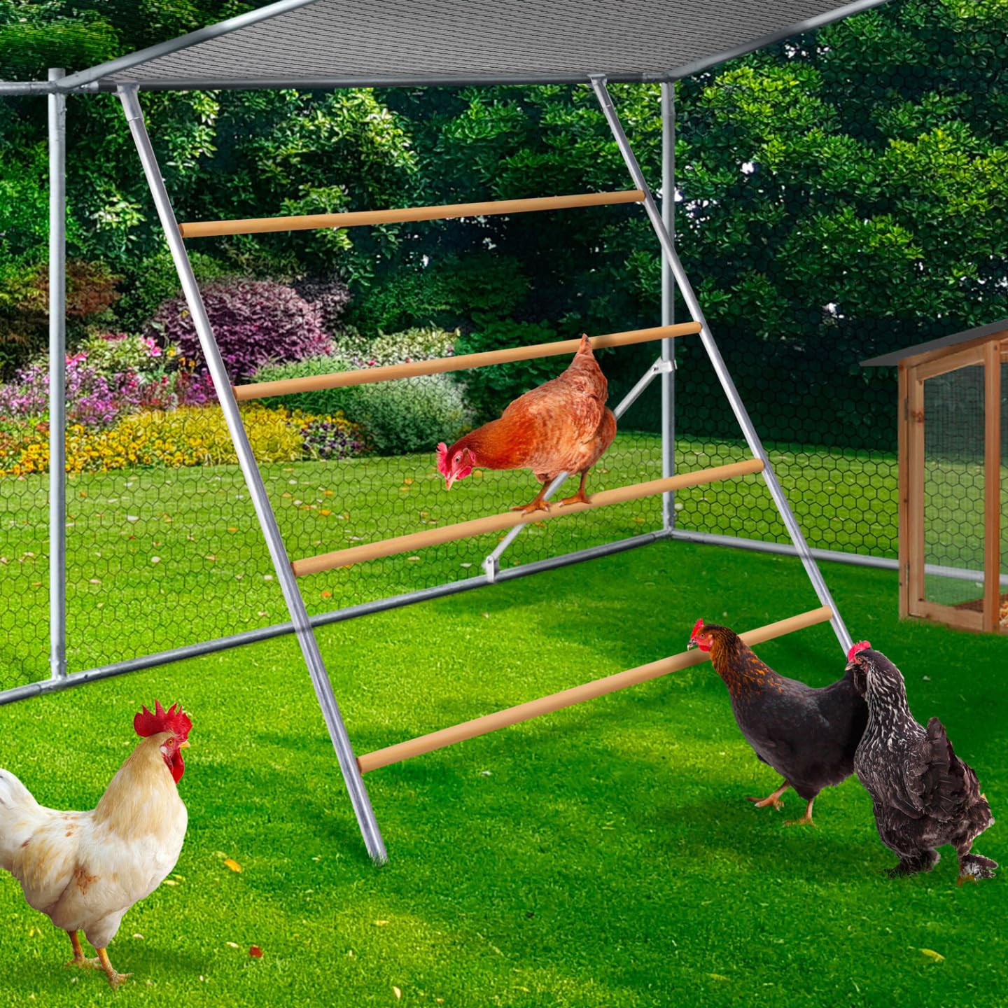 IDMarket – Recinto gallinero 12 m² 4x3 M con percha grande 4 niveles de madera, acero galvanizado