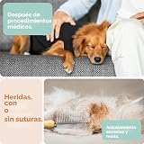 Ver la foto 8