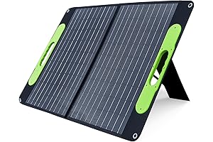 Bluerise Solar Panel: Harness the Sun's Energy for Endless Power