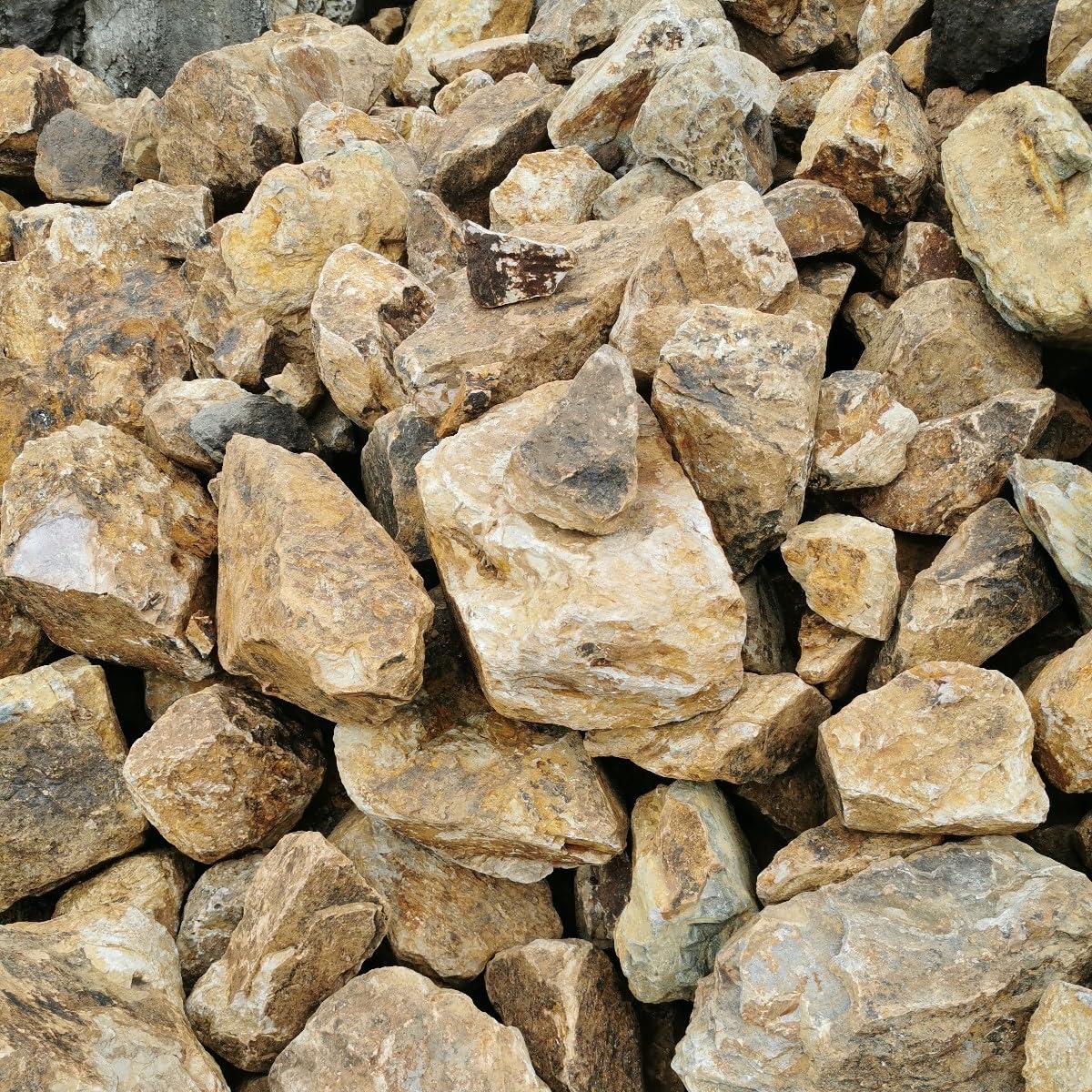 日高翡翠　88キロ　庭石　石　鑑賞石　庭　坪庭　ガーデニング　置物　オブジェ Amazon.co.jp: 巨大庭石 国産石 鑑賞石 庭 坪庭 ガーデニング 置物