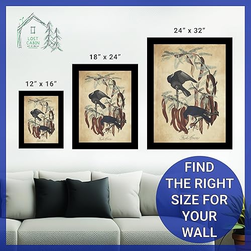 Miniatura 6 de Fish Crow por James Audubon - Marco biselado negro de 12 x 16 pulgadas  Decoración artística enmarcada para pared  Reproducción de pintura de arte