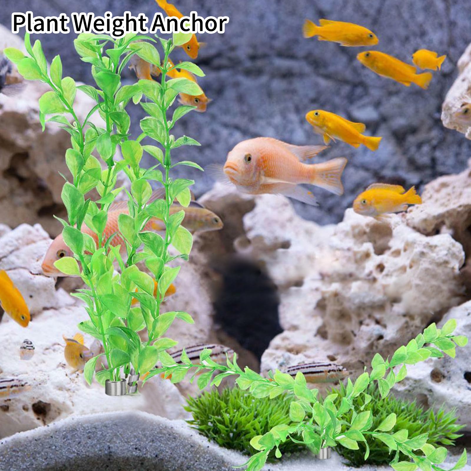 NEUSID Lot de 31 poids pour plantes d'aquarium - En métal flexible - Pour plantes aquatiques - Pour plantes aquatiques - Plantes vivantes dans l'aquarium - Empêche la natation - 13 x 1,5 cm