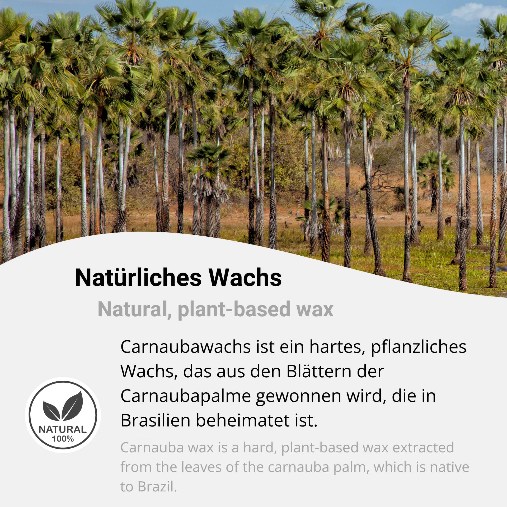 Carnaubawachs 25kg Copernicia Cerifera Cera T1 veganes Pflanzenwachs zur Herstellung von Naturkosmetik, Kerzen & Pflegeprodukten