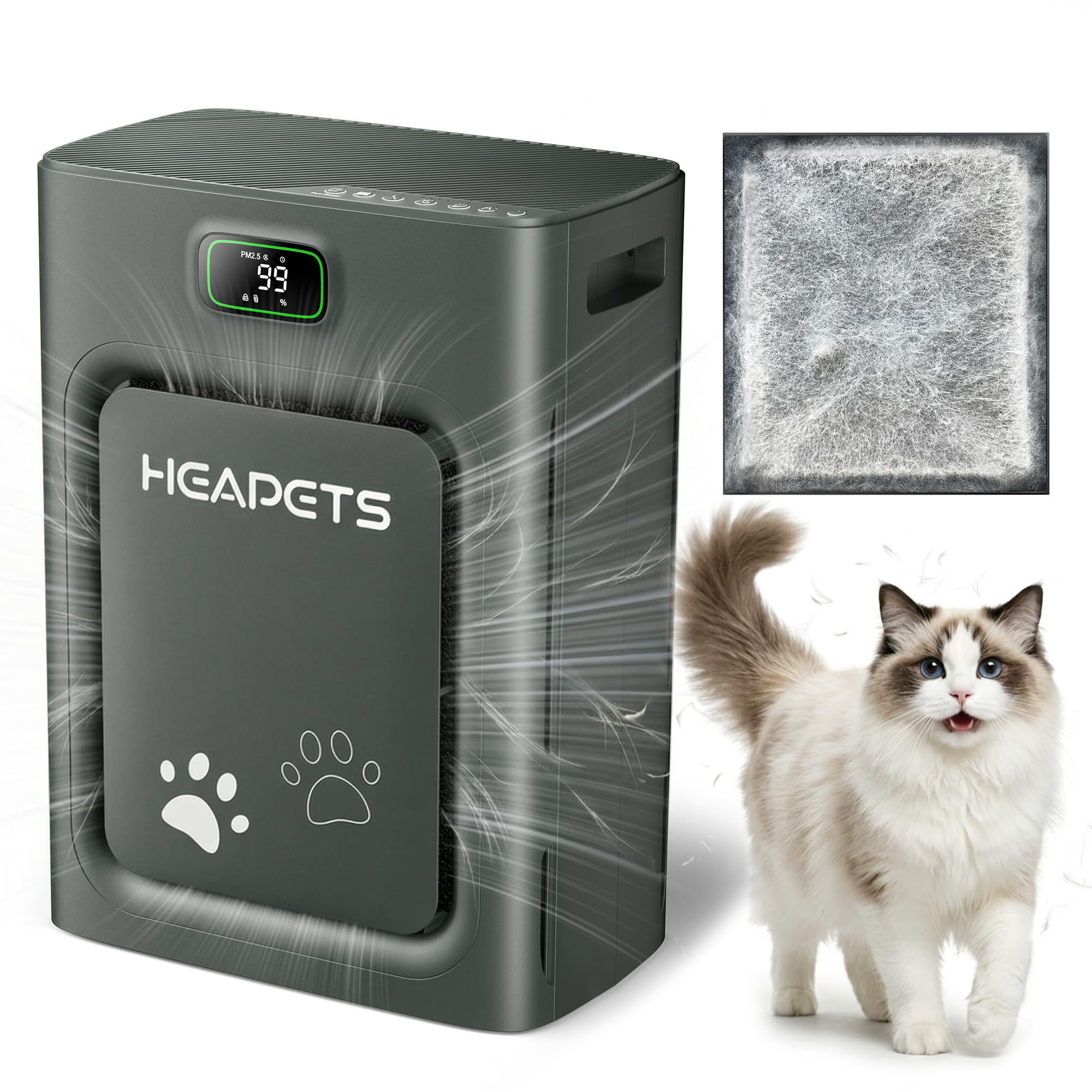 HEAPETS P358