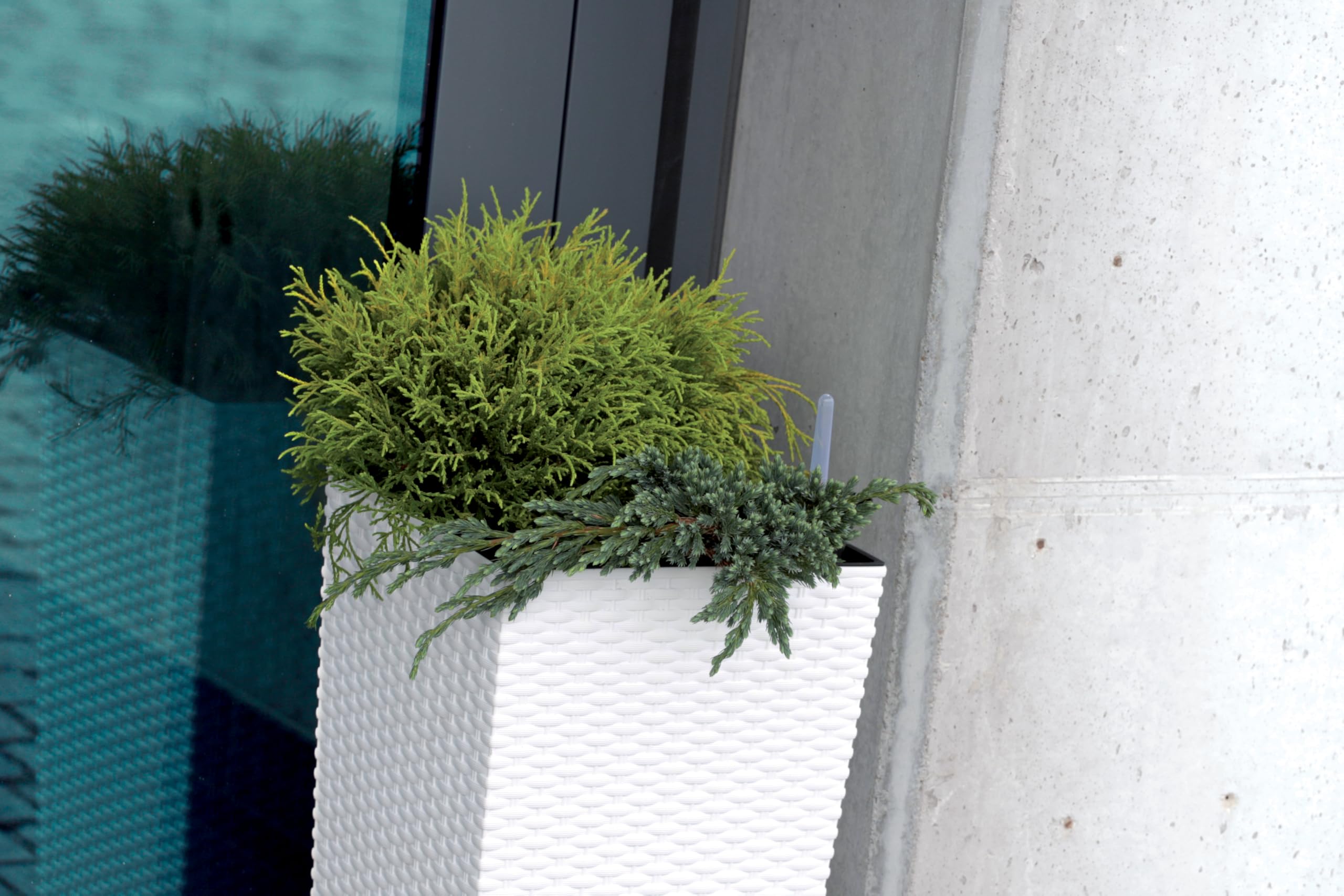 Pot de fleurs 40 x 40 x 75 cm - Avec aspect rotin et insert résistant aux intempéries - Pots de plantes pour un design intérieur et extérieur élégant - Pots de fleurs pour moins de terre et un