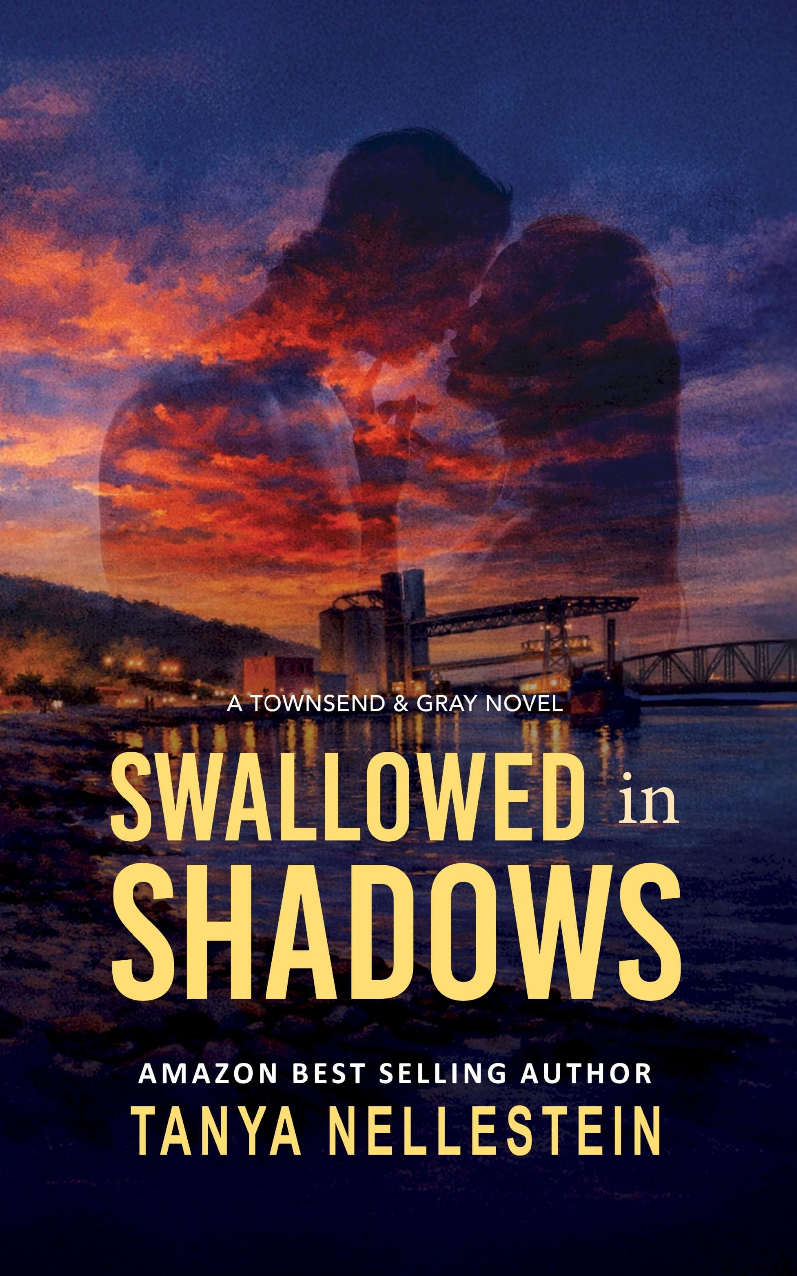 Swallowed in Shadows: A Romantic Suspense Thriller of Secrets, Corruption, and Betrayal (Townsend & Gray Book 4)