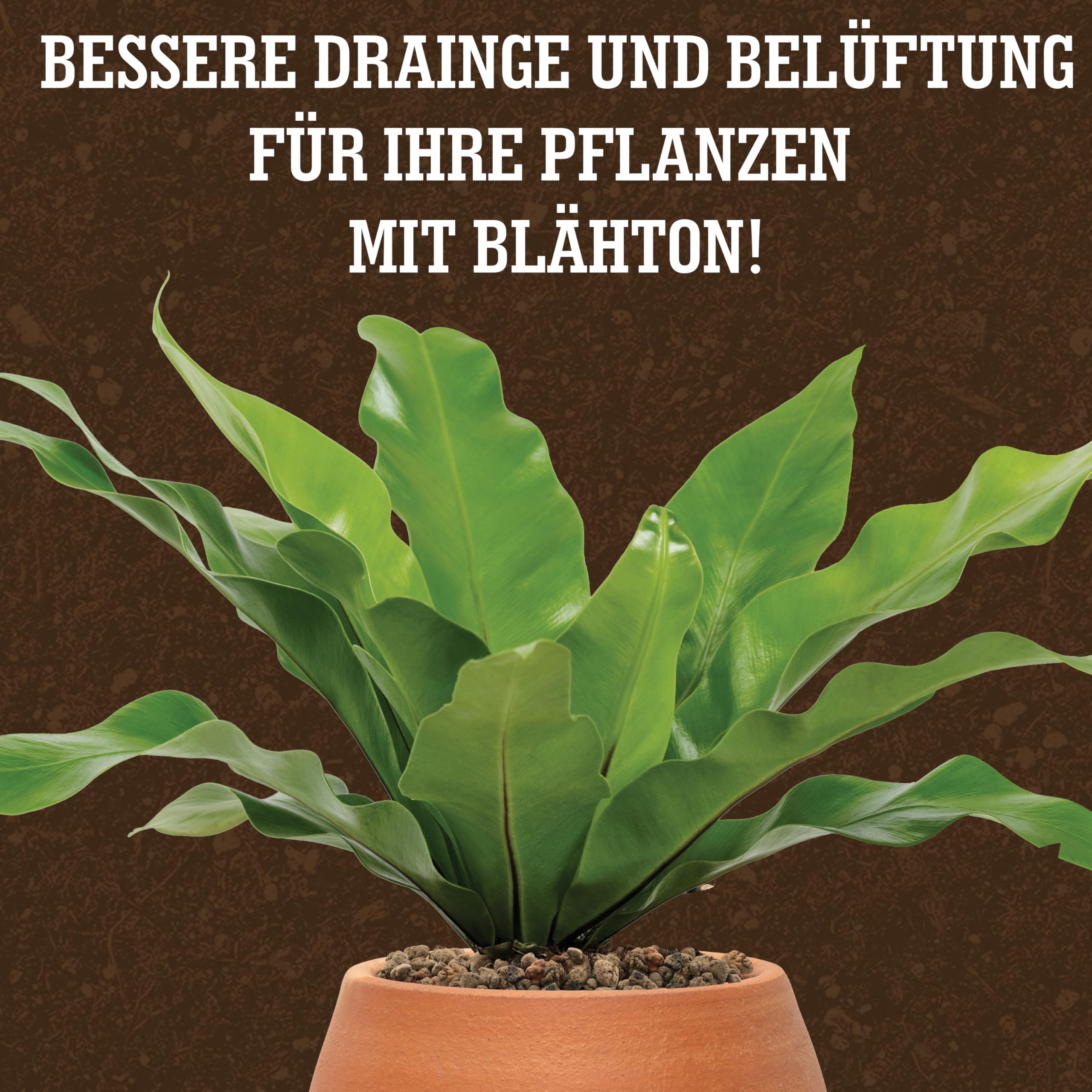 LERAVA Blhton (3L)  Tongranulat fr Zimmerpflanzen & Hydrokultur   pH-neutraler Pflanzenton fr optimale Drainage  Ideal als Drainageschicht  oder dekoratives Tongranulat fr Pflanzen : Amazon.de: Garten