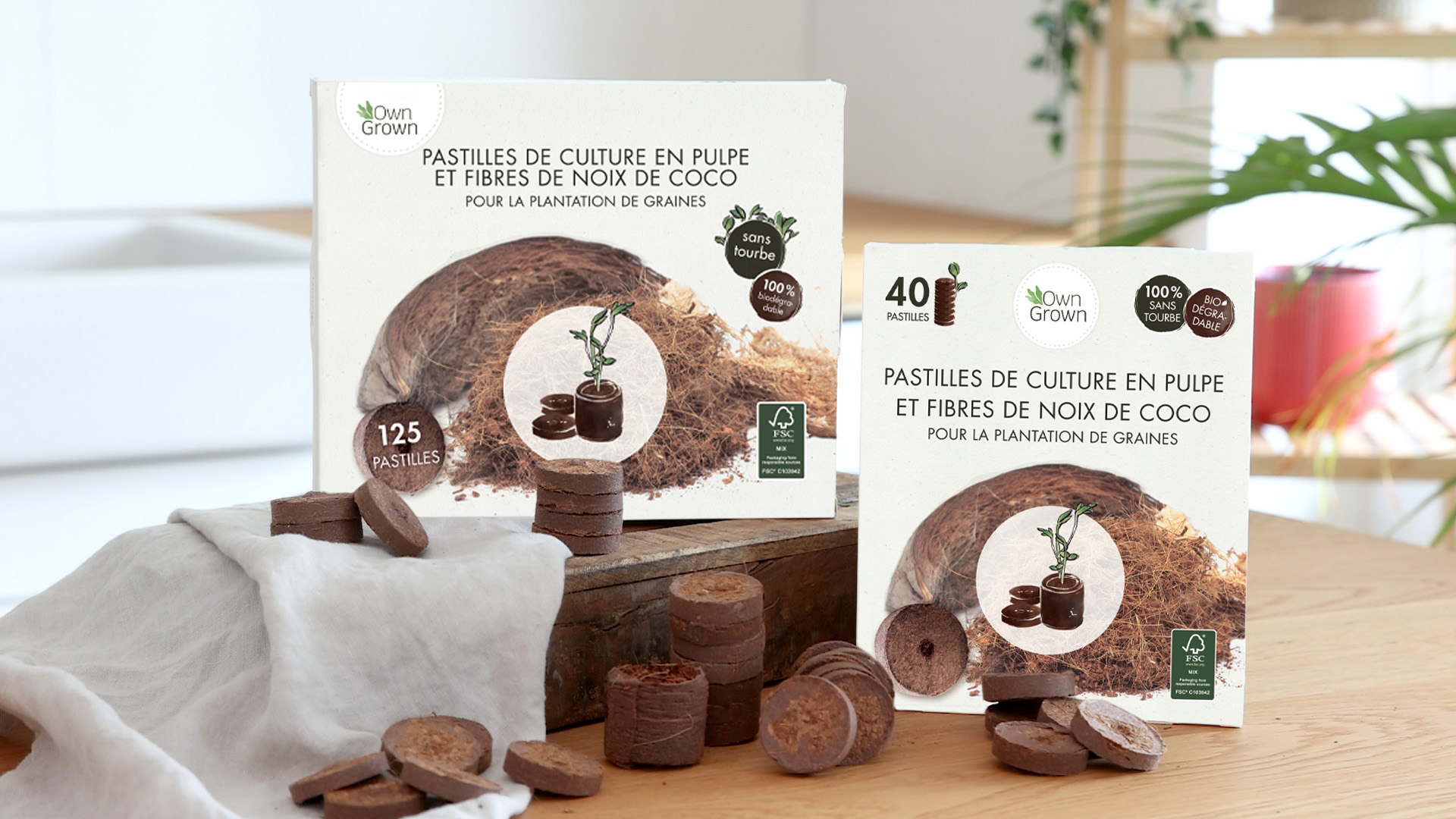 oolaa 30 pastilles de Tourbe avec nutrients- Terreau de Culture