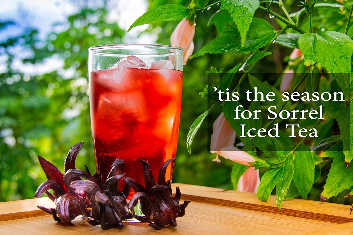 1 LB Dried Sorrel Hibiscus Flowers And Petals - Organic - Flor de Jamaica, Zobo Flower perfect for Tea and Mexican Agua Fresca - Makes Refreshing Iced Tea Or Hot Tea