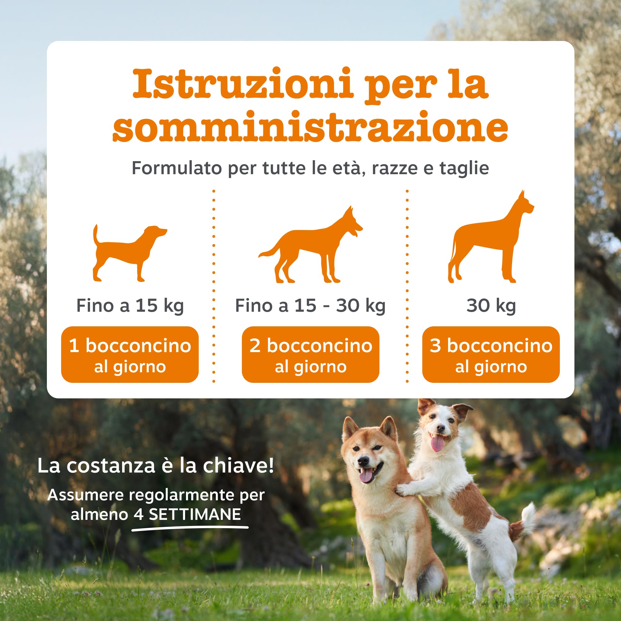 Zesty Paws Allergy & Immunity per Cani – Supporto Immunitario, Salute dell' Intestino, Pelle e Pelo – Per fastidi della Pelle – Con Olio di Salmone e Probiotici per Cani – 90 Bocconcini