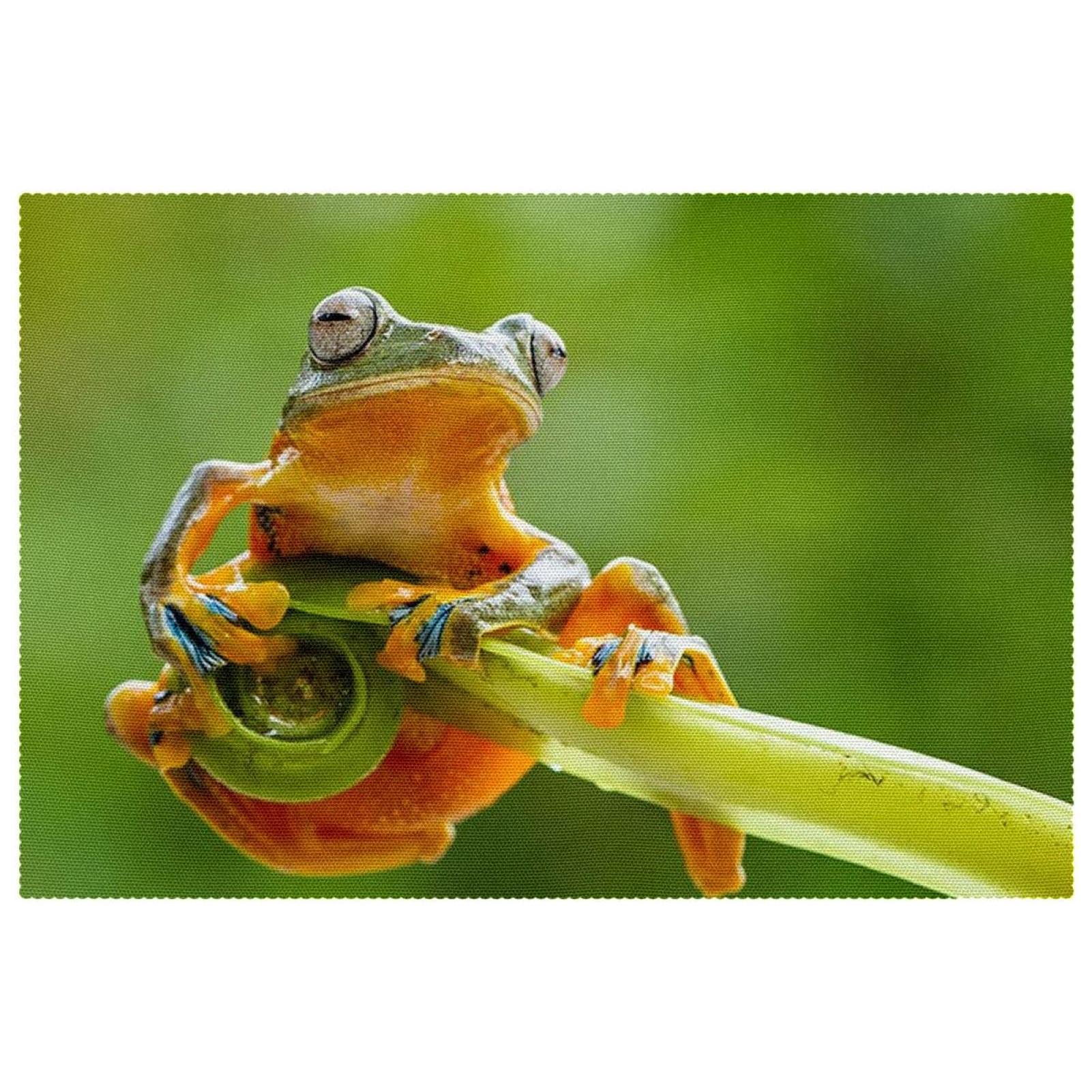 Set de table grenouille lavable et antidérapant contre la chaleur x6