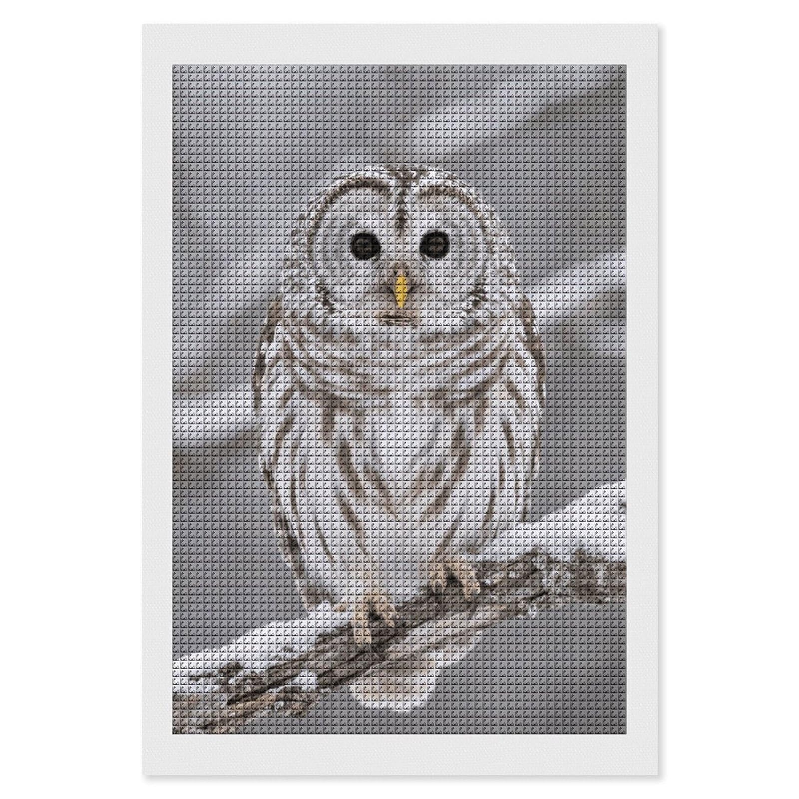 FodPand Curious Barred Owl Closeup 5D Diamond Painting Kits for Adults Beginners Full Drill Square Diamond Dots Pictures Gem Art Supplies for Home Wall Room Decoration DIY Craft Set Gift 8x12