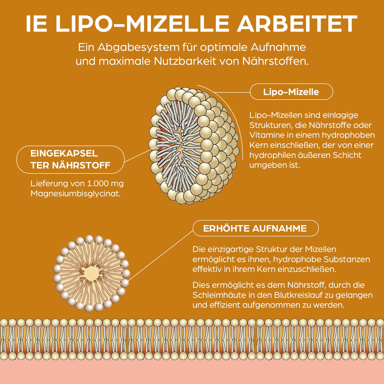 Bisglicinato de Magnesio Líquido 1000 mg – Gotas de Magnesio – Vegano y Sin Gluten – Tecnología Micelar Liposomal – Sabor a Limón – 180 ml