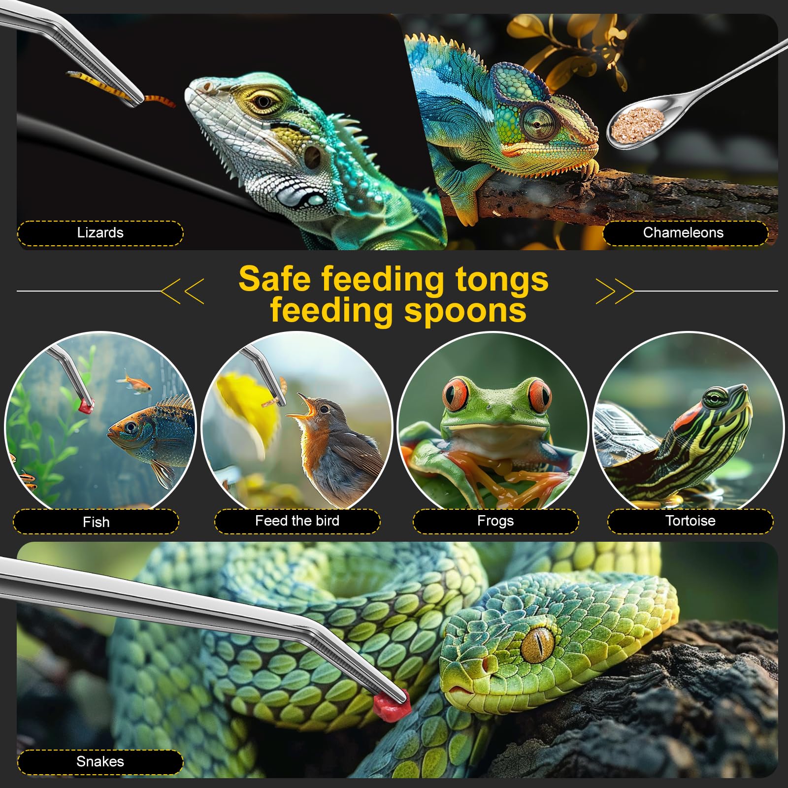Pinzas de alimentación para reptiles