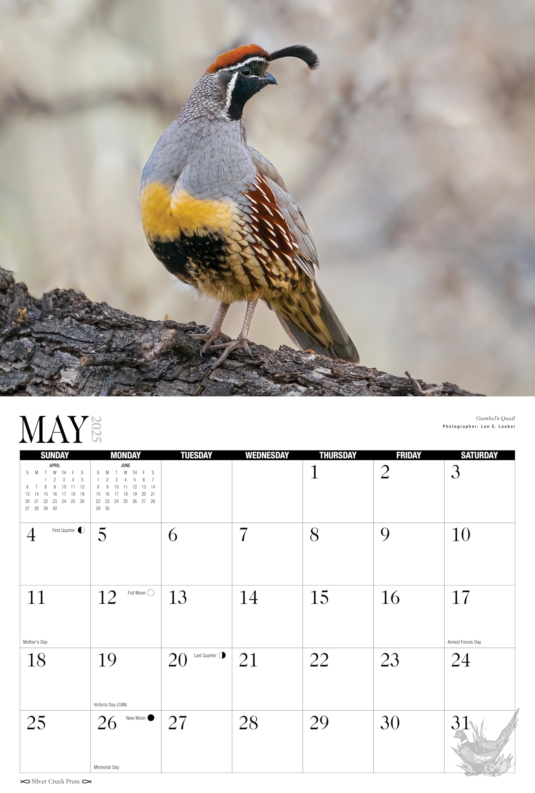 Amazon.com: 2025 Hunting Dogs and Upland Birds Wall Calendar : Office Products amazon-com-2025-hunting-dogs-and-upland-birds-wall-calendar-office-products
