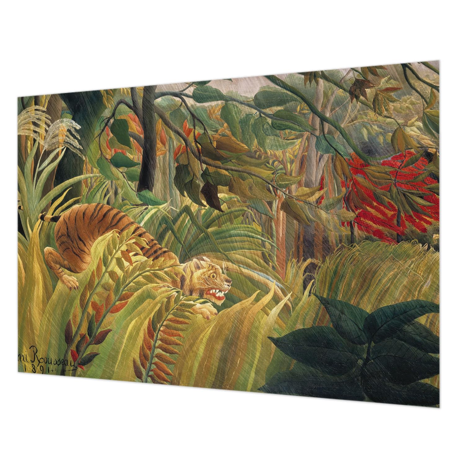 Papier peint intissé tigre exotique 208x146 cm décoration murale de chambre