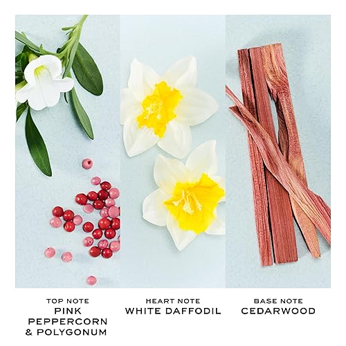 Miniatura 3 de Marc Jacobs Perfect by Marc Jacobs para mujer - 1.6 oz EDT Spray