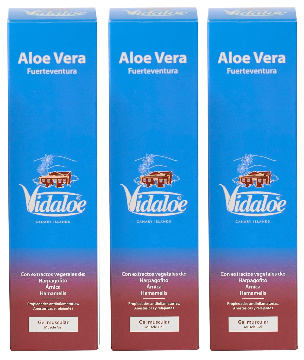 Vidaloe Aloe Vera Muscle Gel 250ml 3 Einheiten Amazon.de Drogerie