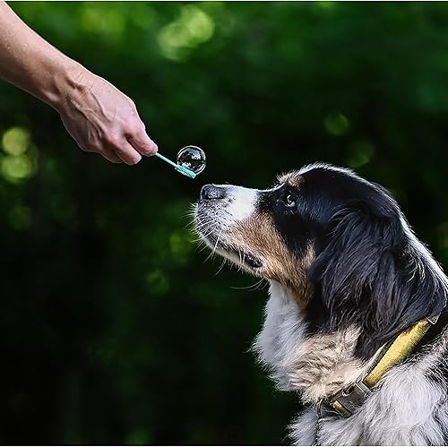 Vista 11 de Puppy Love Bubbles, burbujas perfumadas de tocino, 4 onzas, paquete de 2 botellas en sabor a tocino para perros