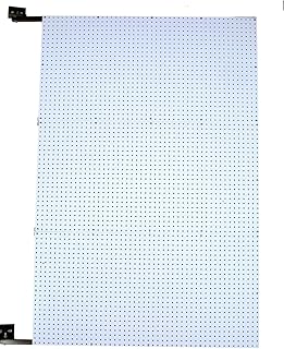 Triton Products W1-D XtraWall Wall Mount Double-Sided Polypropylene Swing Panel Pegboard 48-Inch W by 72-Inch H by 1-1/2-Inch D