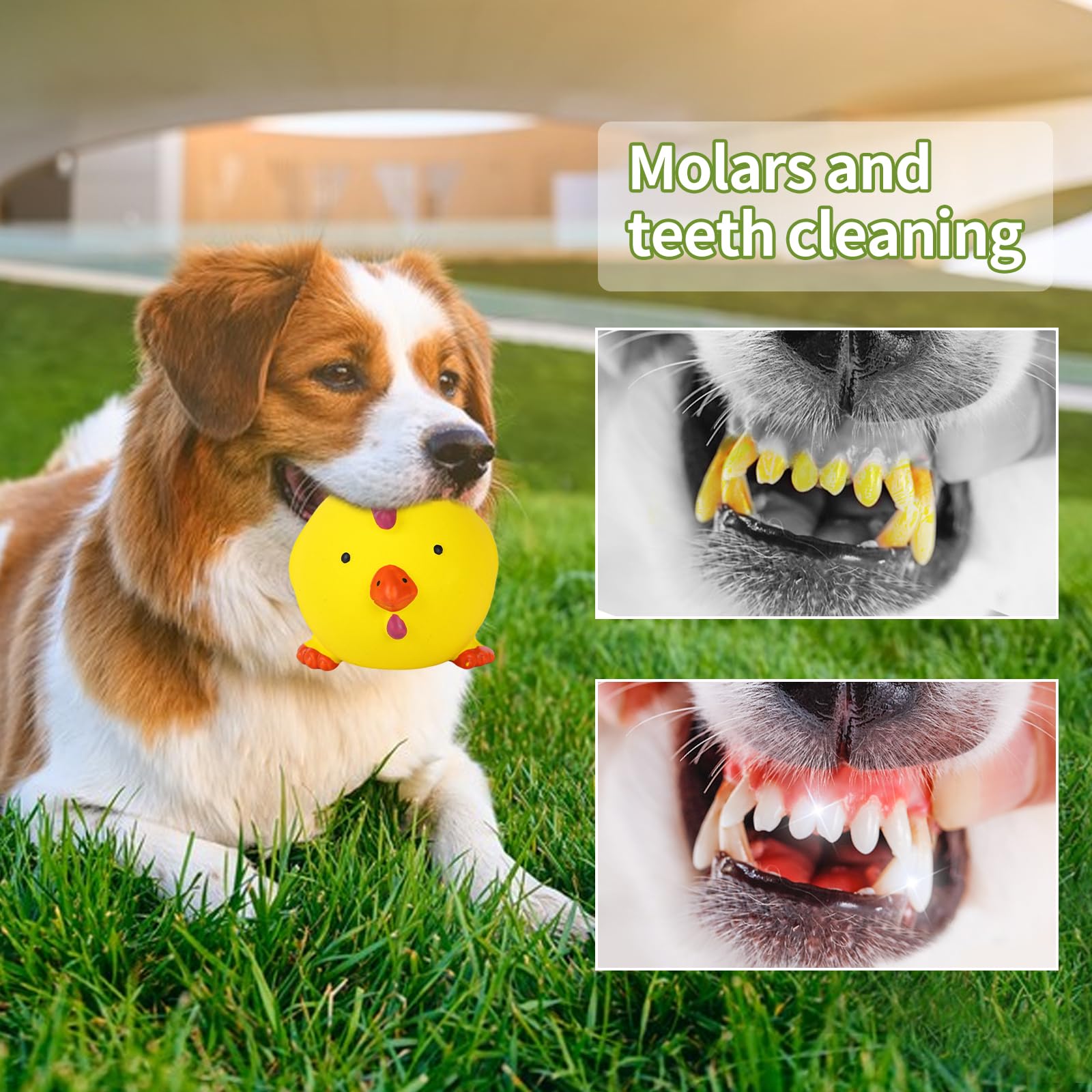 Syhood Quietschende Hundebälle – 6,3 Cm, Stachelig, 16 Stück, Für Kleine & Mittlere Hunde