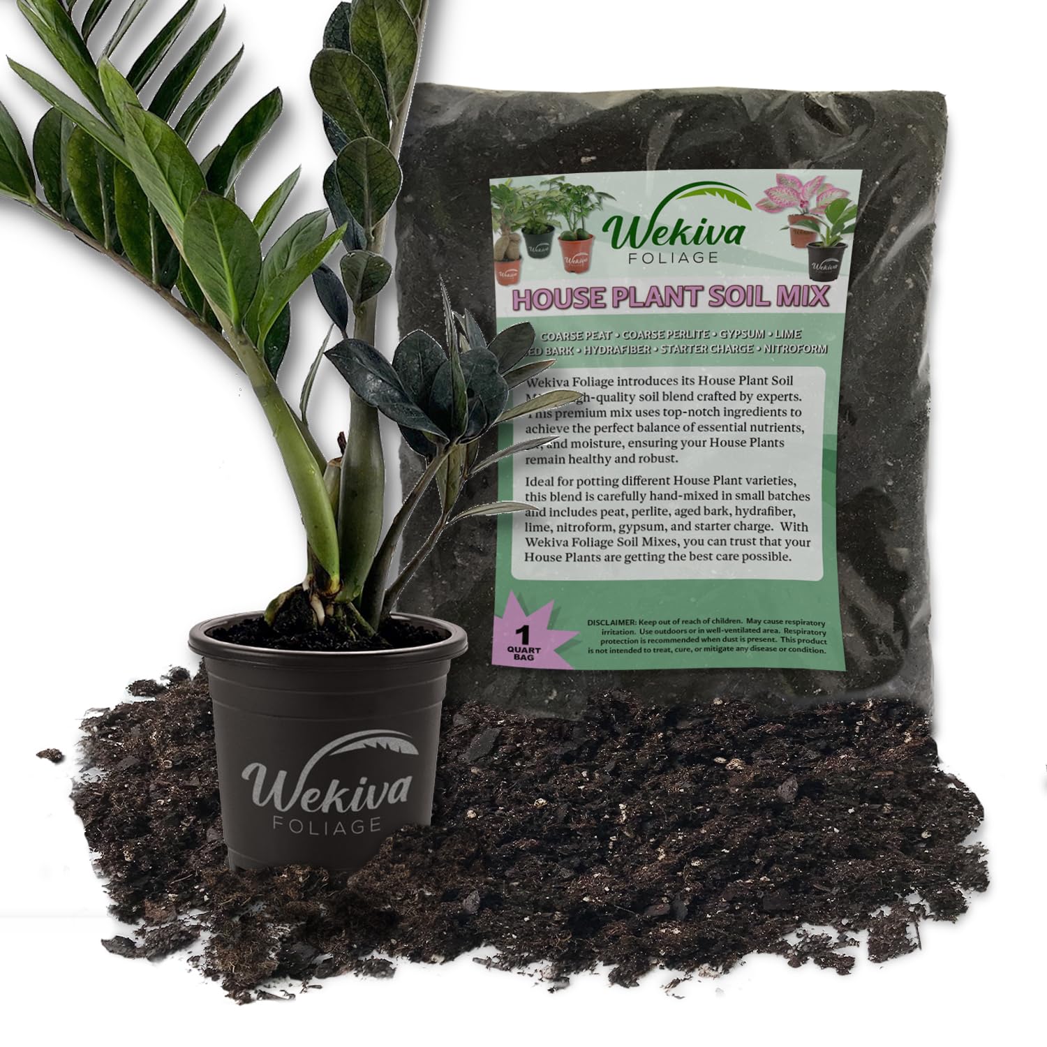 Amazon.com : Black Raven ZZ Plant and Soil Mix Combo - Live Plant