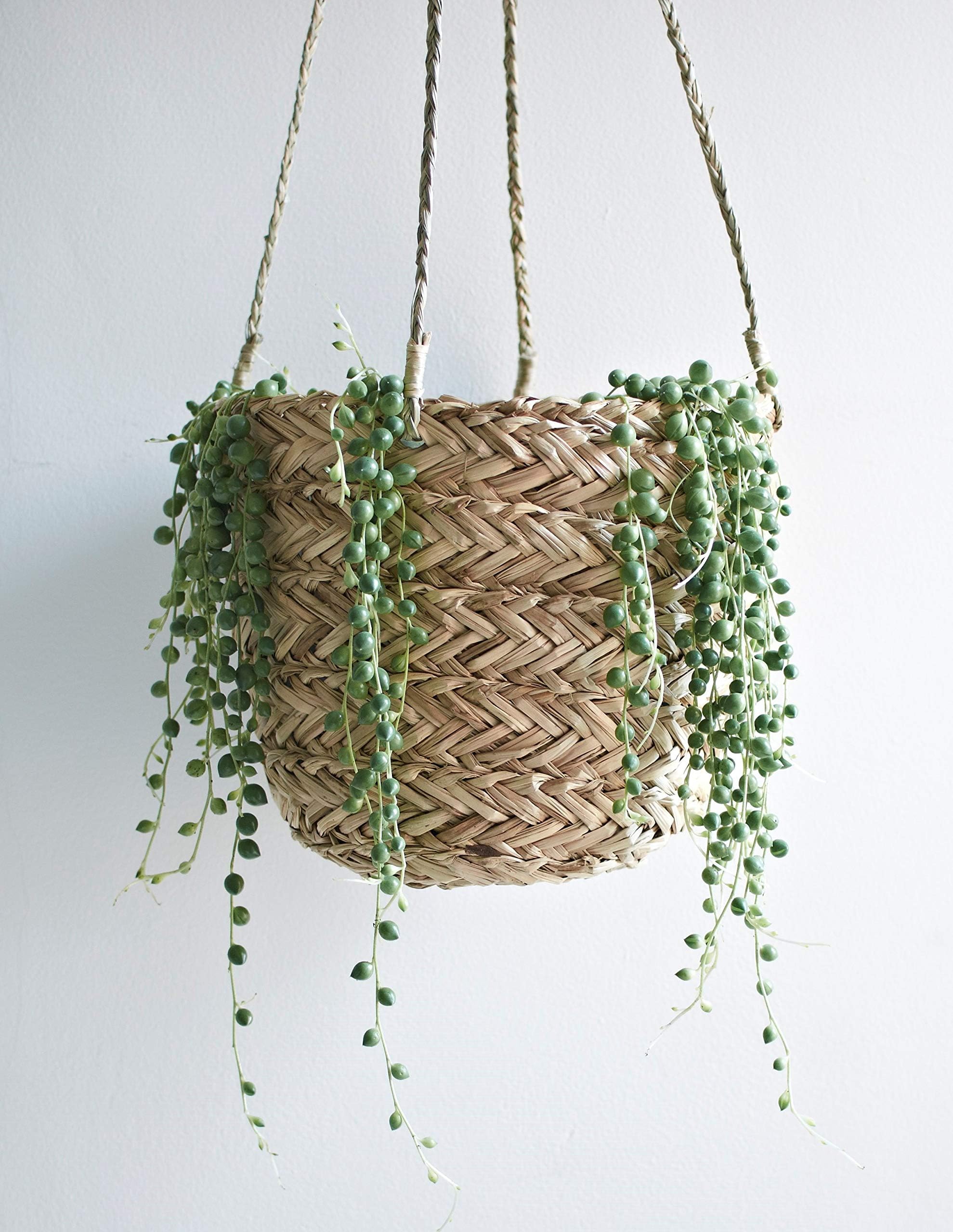 Handmade Natural Seagrass Hanging Planter for Succulent Plants, Air Plants, Herbs and Small Cactus