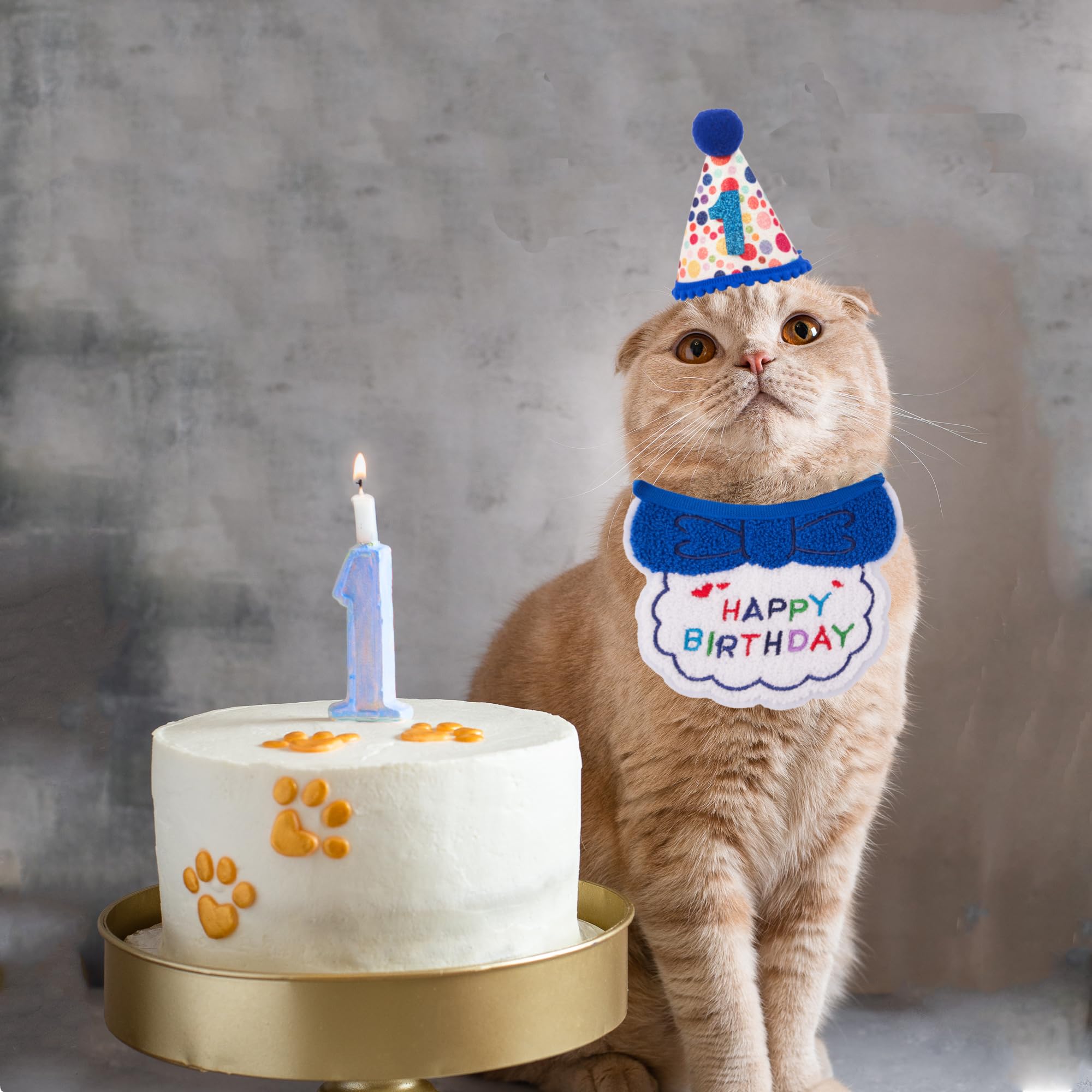 ADOGGYGO Suministros Para Fiesta De Cumpleaños De Gato, Bandana De  Cumpleaños De Gatito Azul Con Números, image size:2000x2000