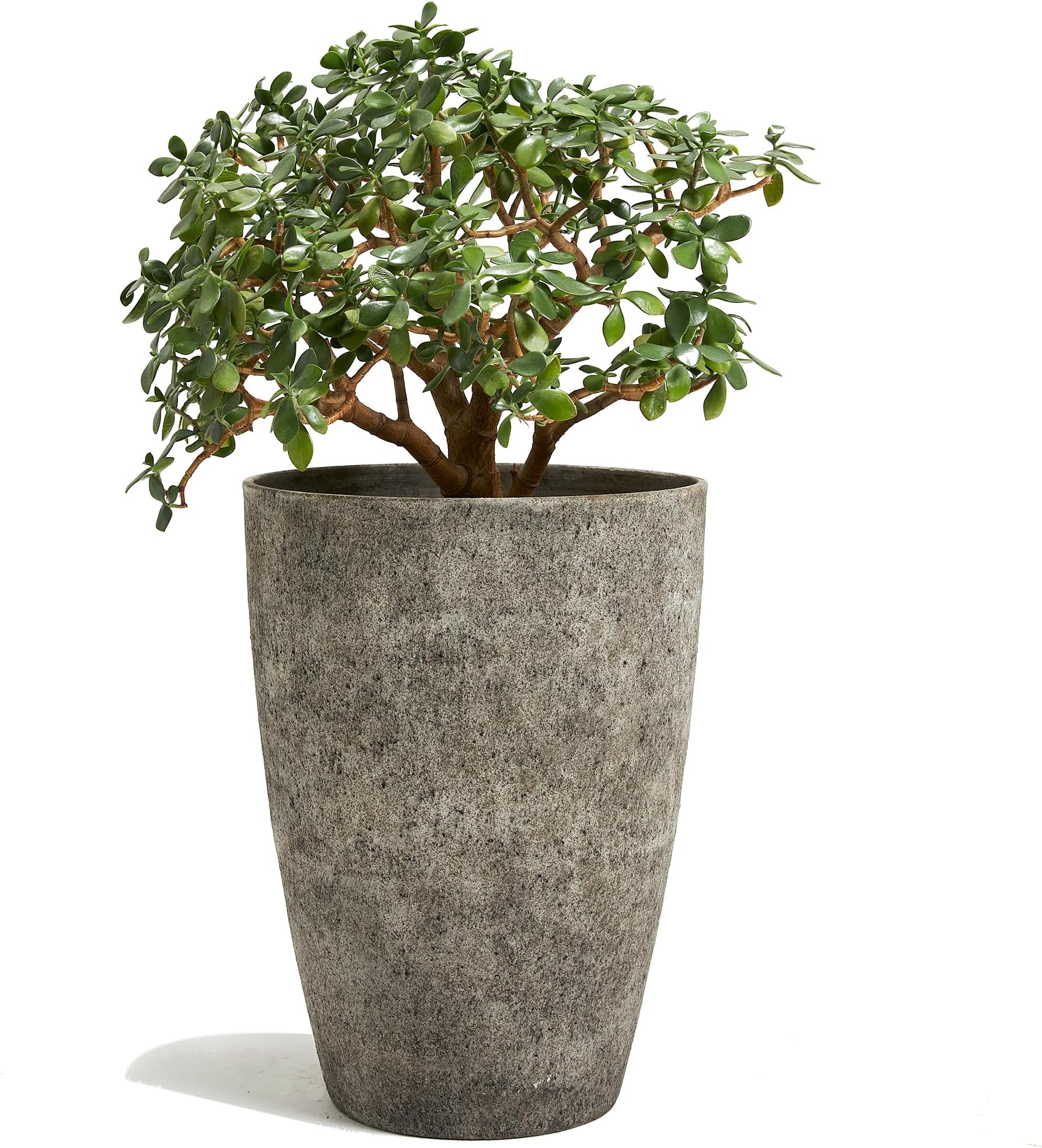 Image showcasing Amazon.com : Worth Garden 24.5