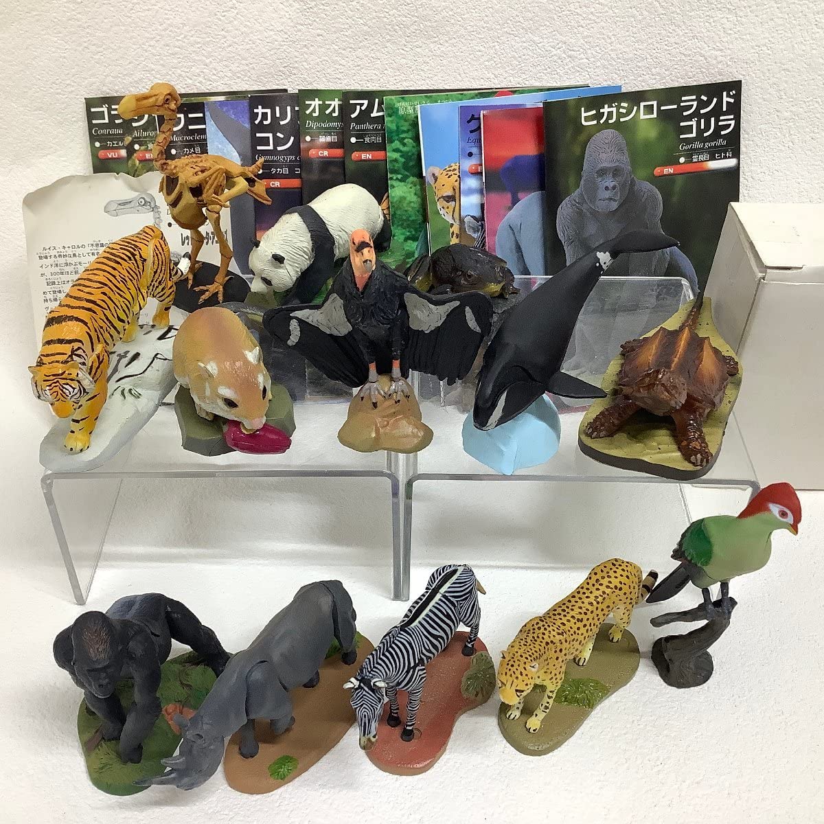 Amazon.co.jp: 世界の動物コレクション 動物世界遺産 レッド・データ  