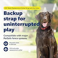 Vista 2 de PetSafe Correa de repuesto para collar de 3/4 pulgadas sin agujeros, correa ajustable, diseño de nailon duradero, hebilla de cierre rápido