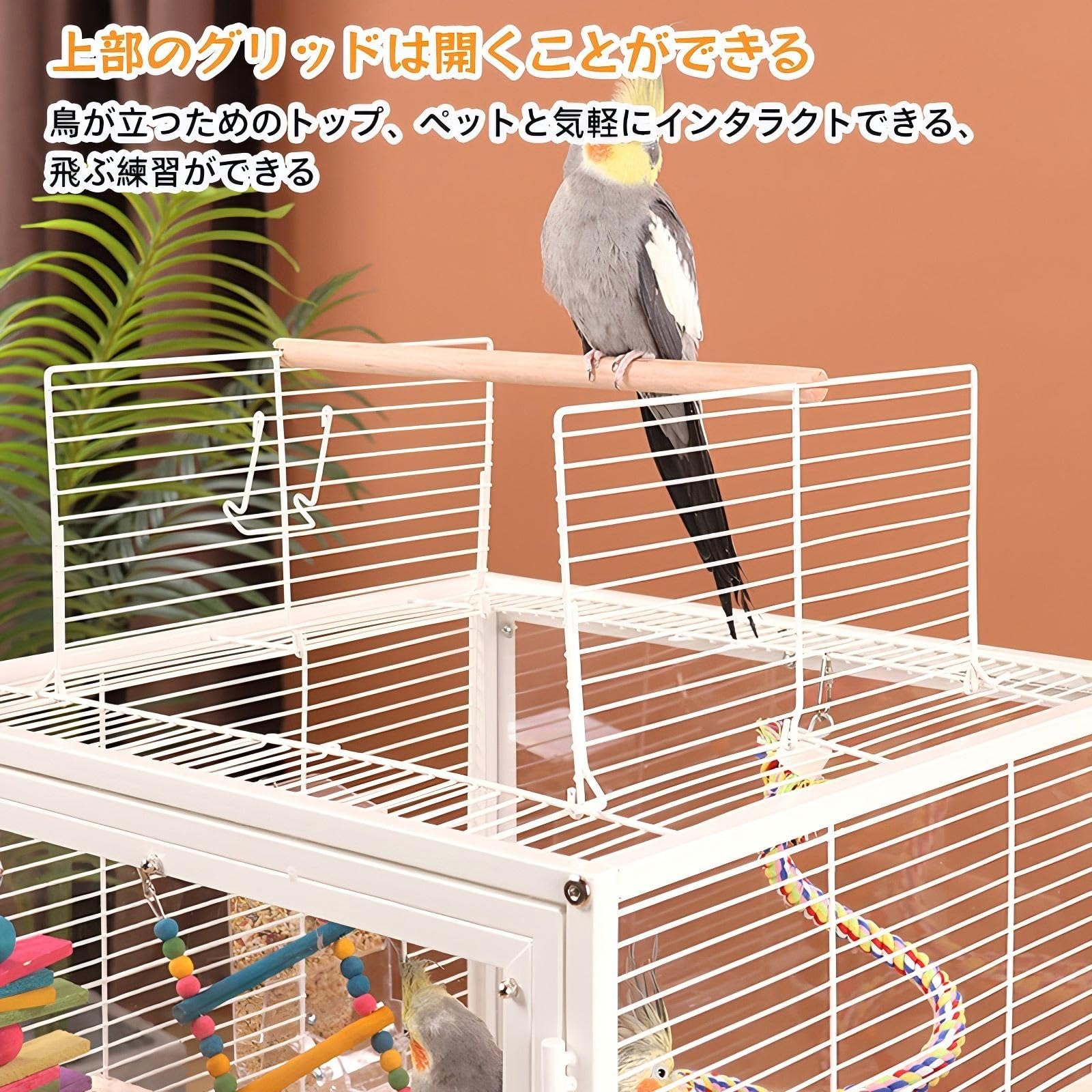 RosoyFX-SHYQYYMZ クリアアクリル鳥かご 複数飼い大型インコ ケージ