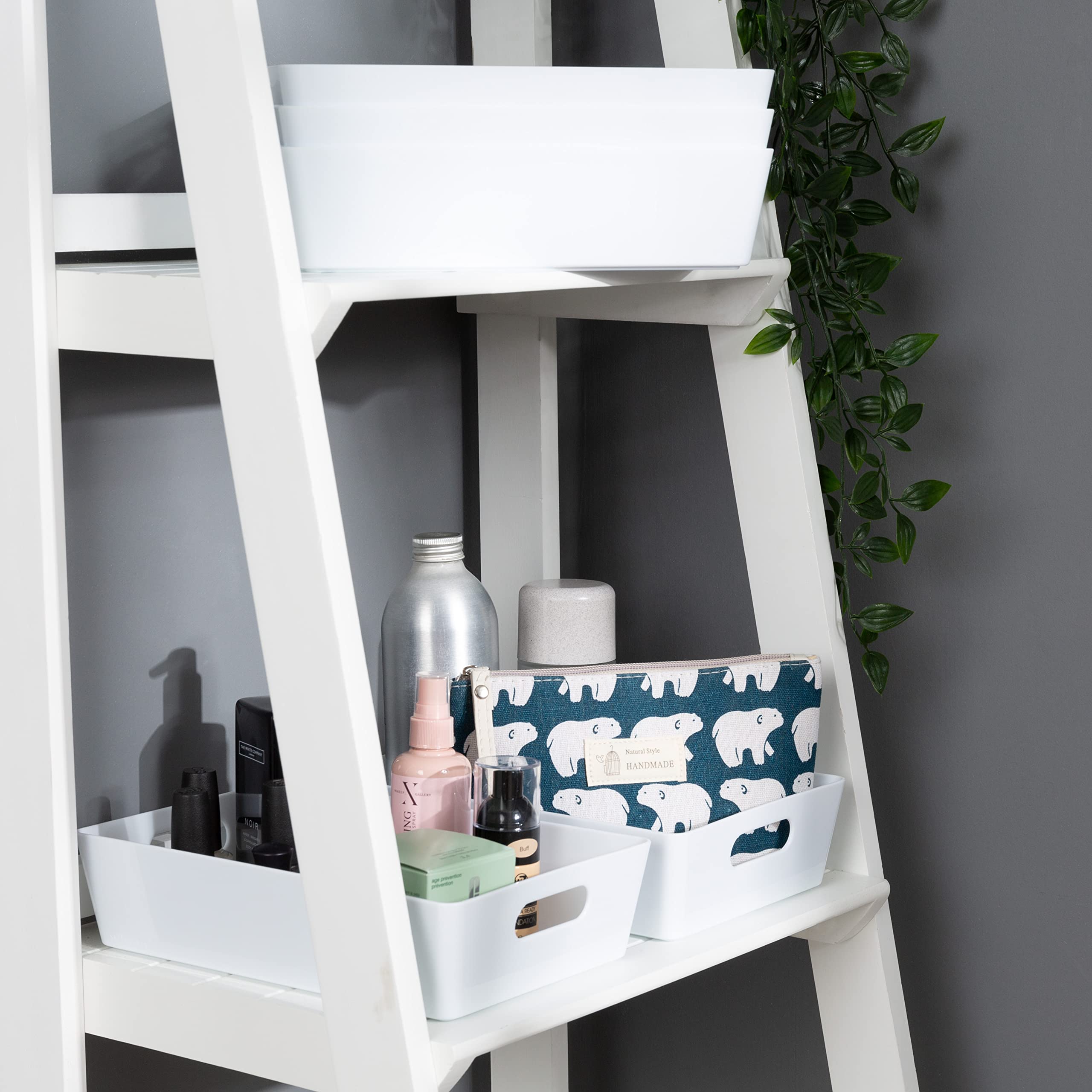 Wham5x Plastic Studio Basket 4.01 Rectangular Home & Office Storage Basket, 25 x 17 x 6cm, 2L (Ice White)