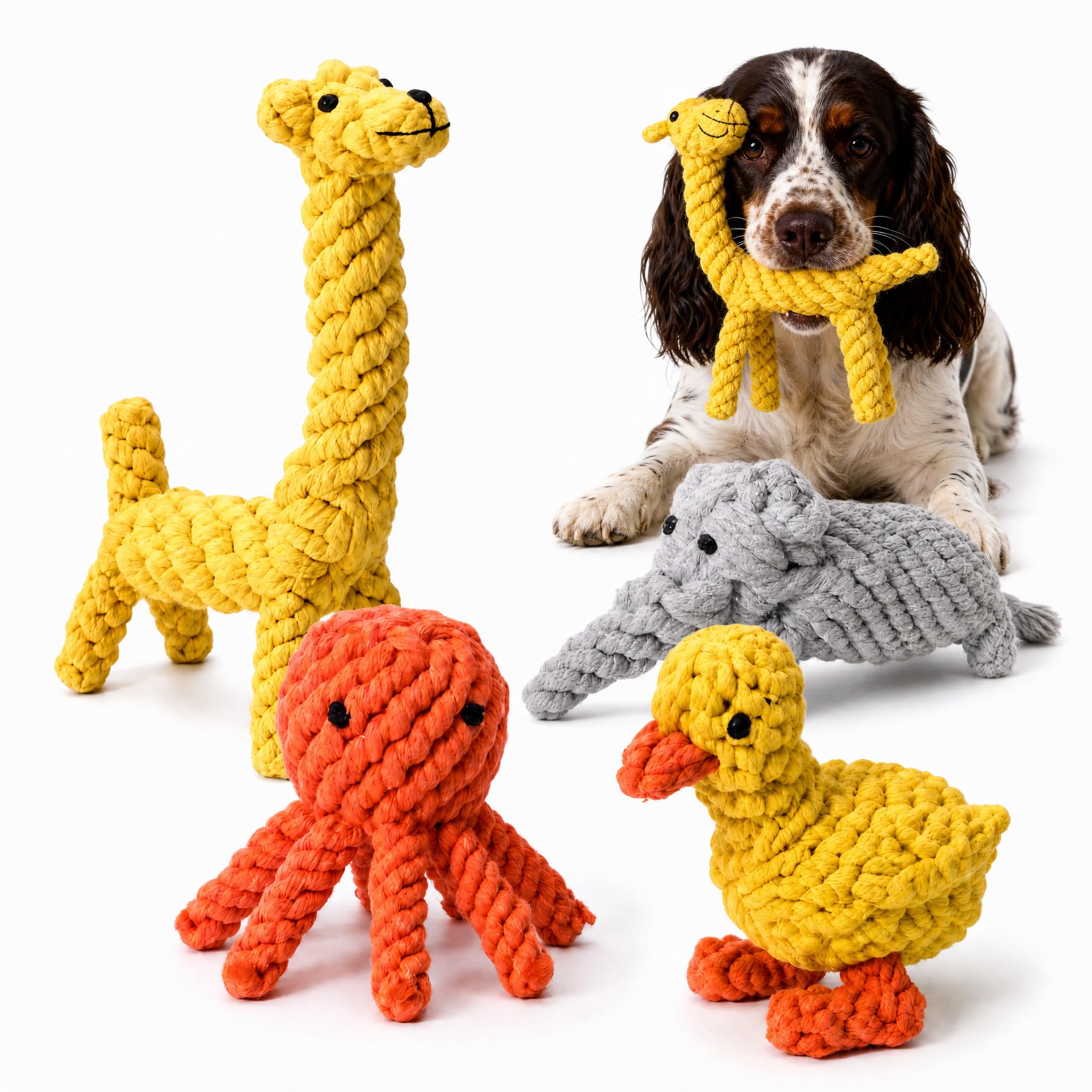 BowBabe 4-Piece Knotted Cotton Rope Dog Toy Set, Dental Chew Toys, Tug of War & Fetch for All Breeds