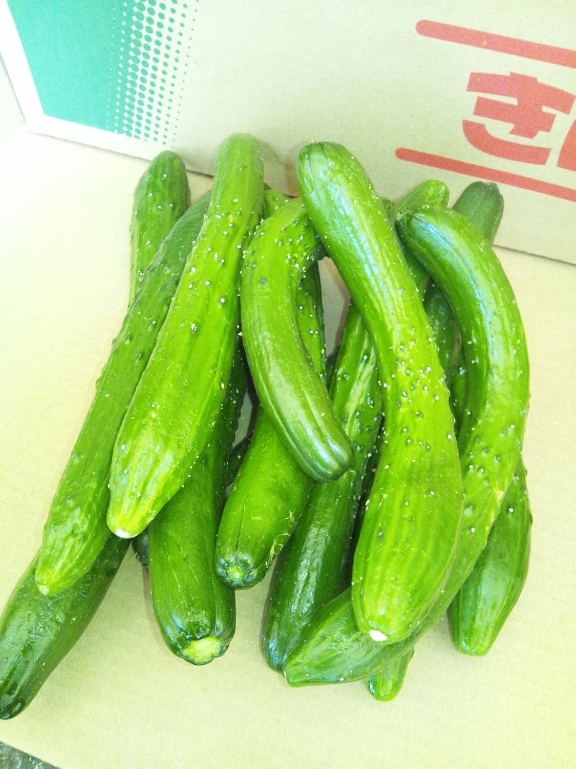 Amazon 訳あり きゅうり 規格外品 佐賀県産 1ケース 約5kg Tanaka Sho Ten きゅうり 通販