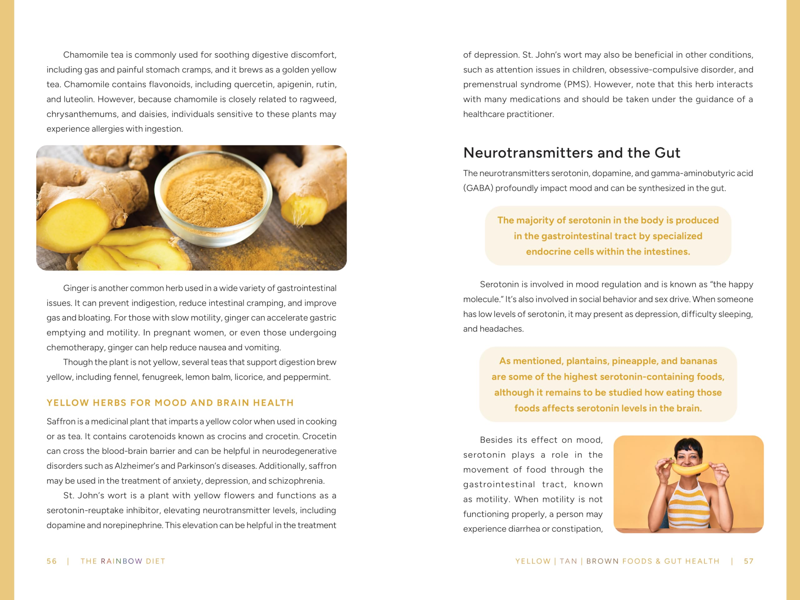 The Rainbow Diet: A Guidebook to the Science and Art of Colorful Foods for Health and Well-Being